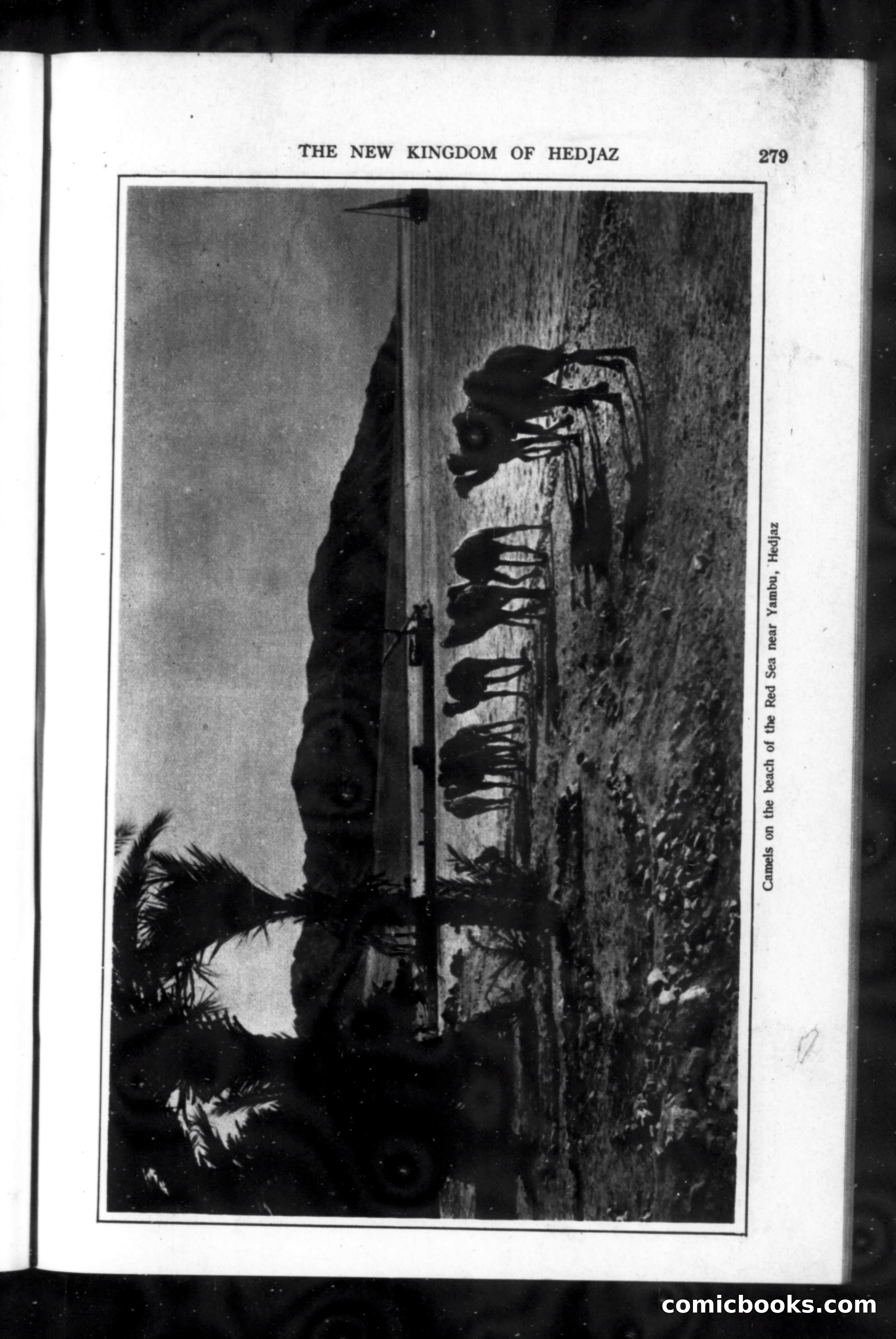 Munsey's Magazine, November 1918 — page 79 of 200