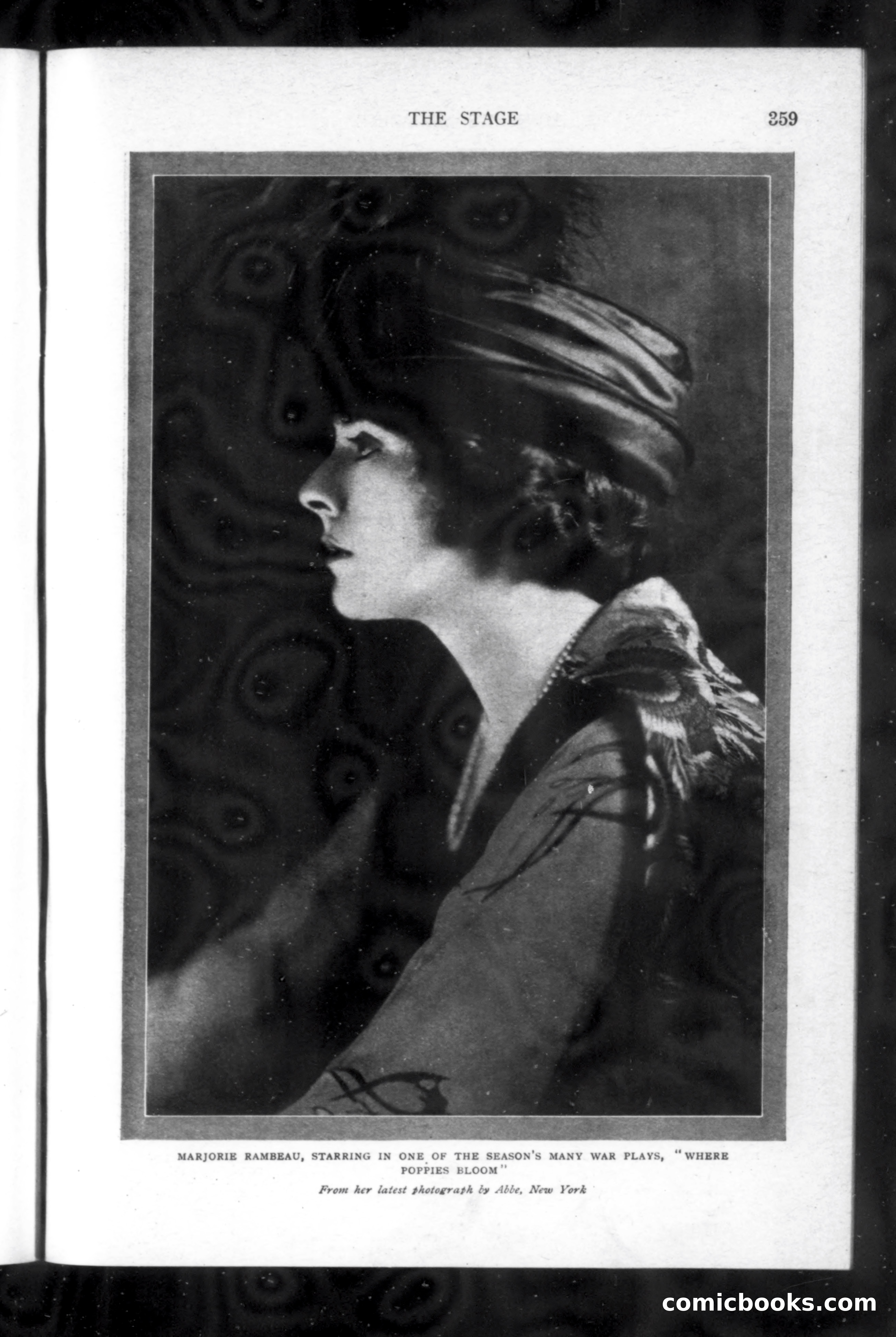 Munsey's Magazine, November 1918 — page 159 of 200