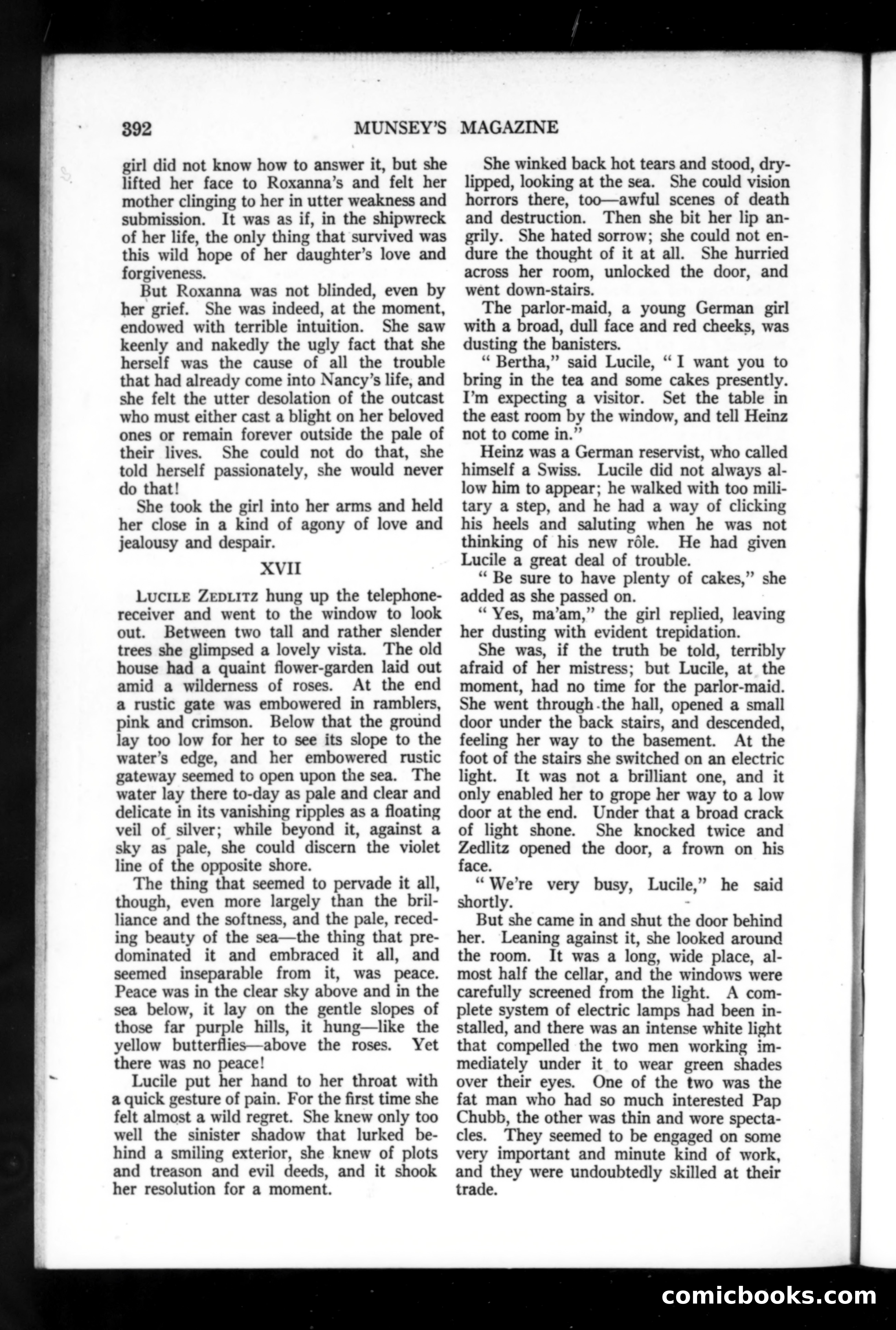 Munsey's Magazine, November 1918 — page 192 of 200