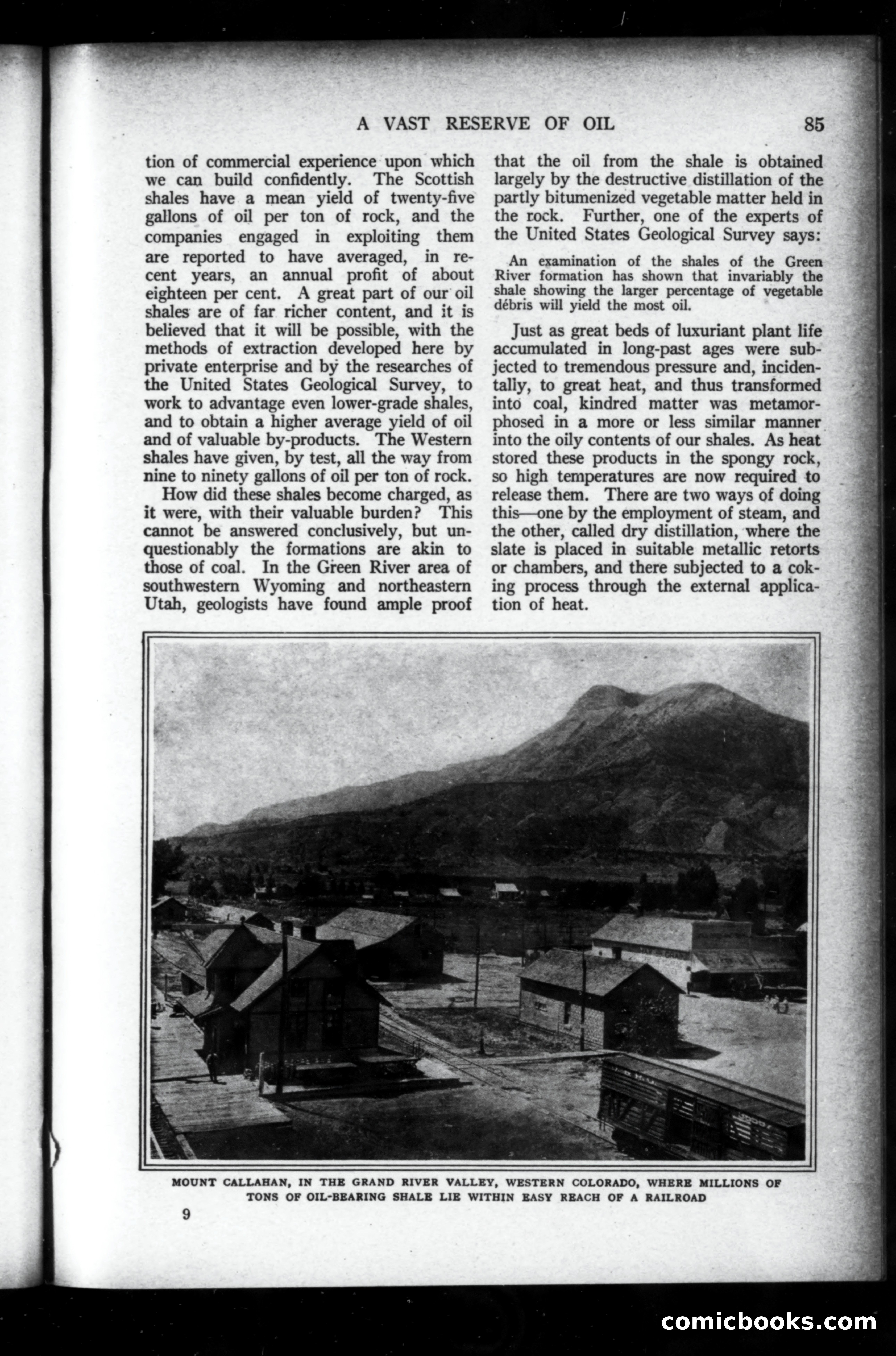 Munsey's Magazine, February 1919 — page 85 of 196