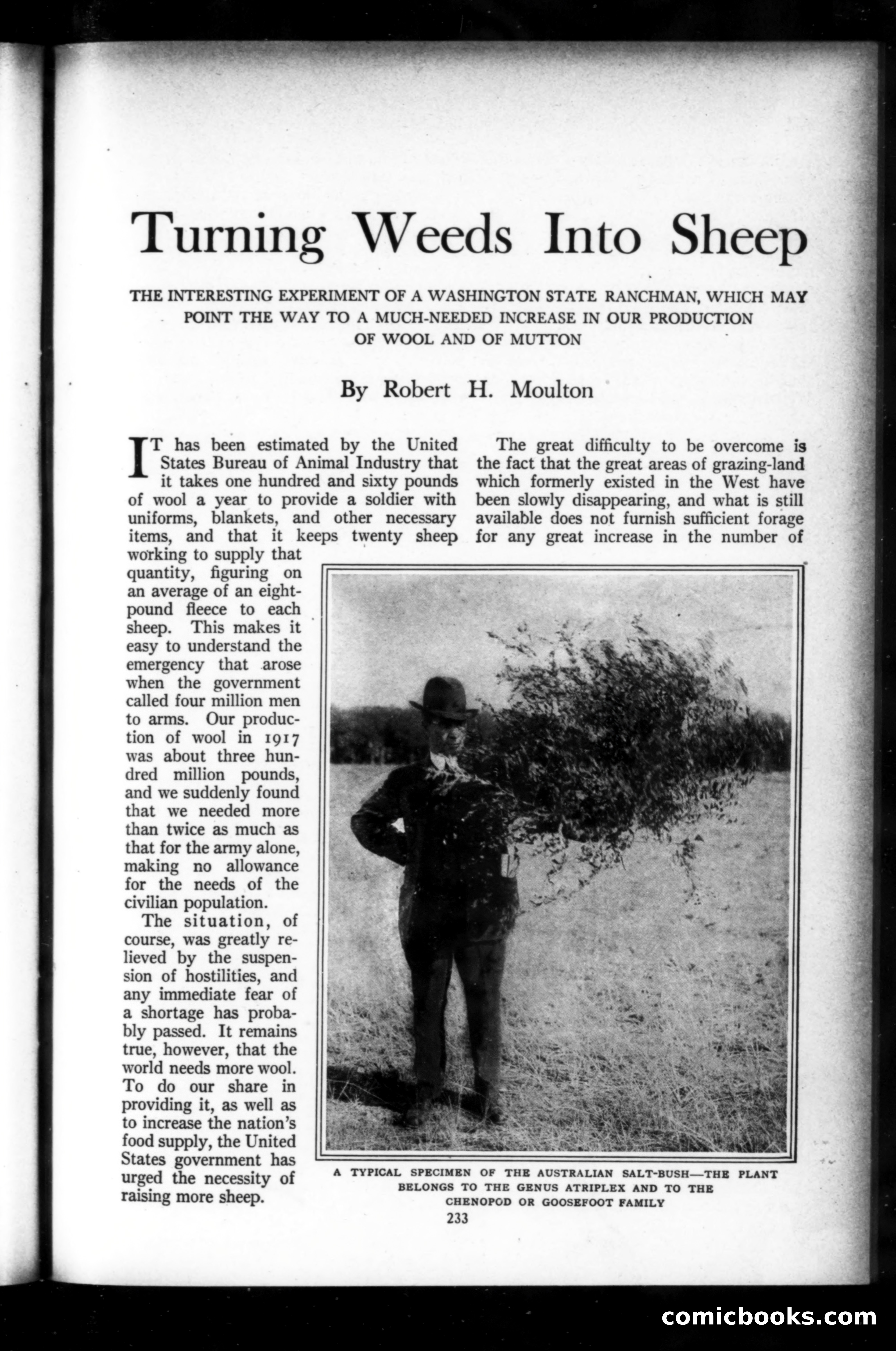 Munsey's Magazine, March 1919 — page 37 of 196