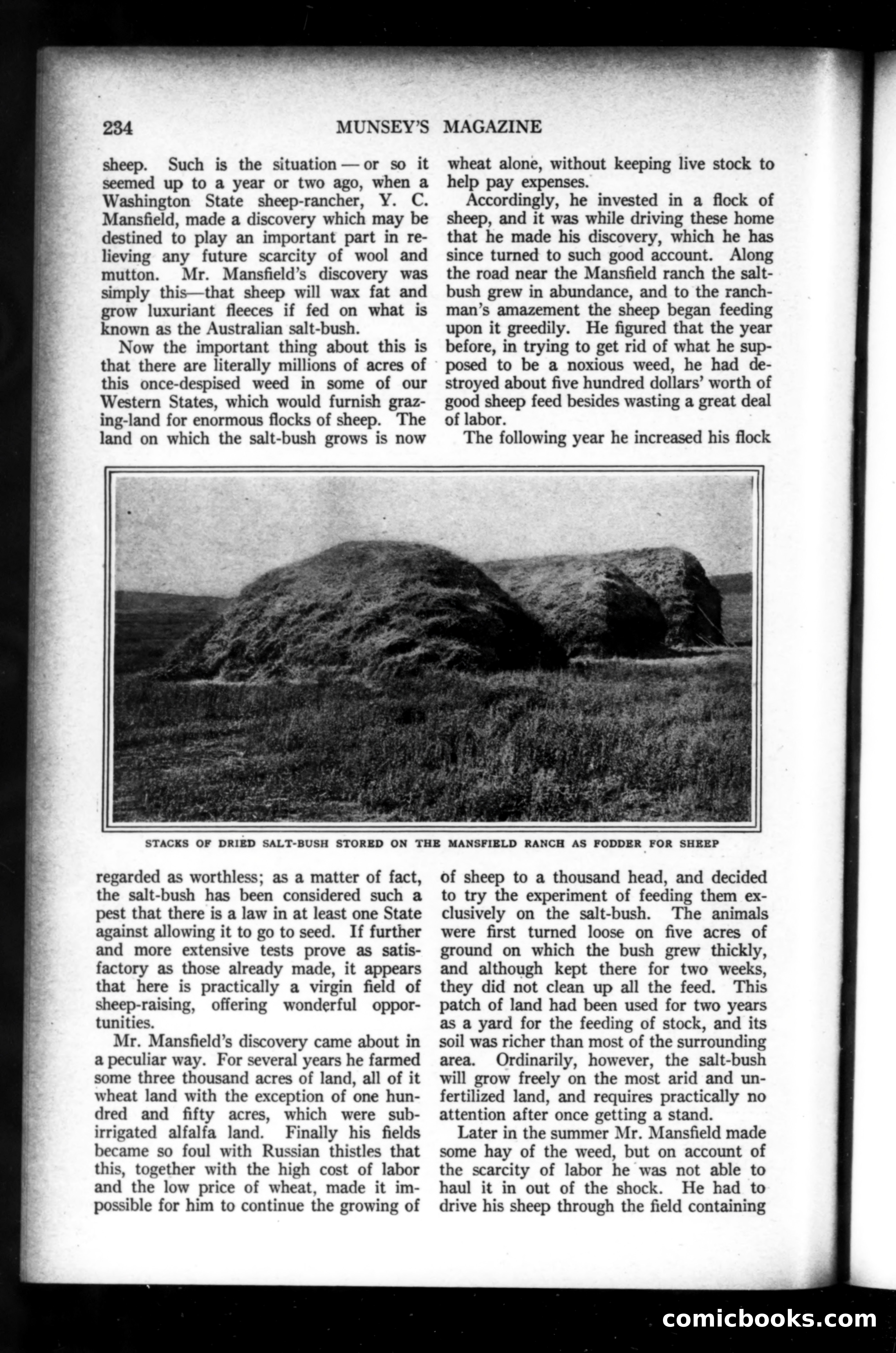 Munsey's Magazine, March 1919 — page 38 of 196