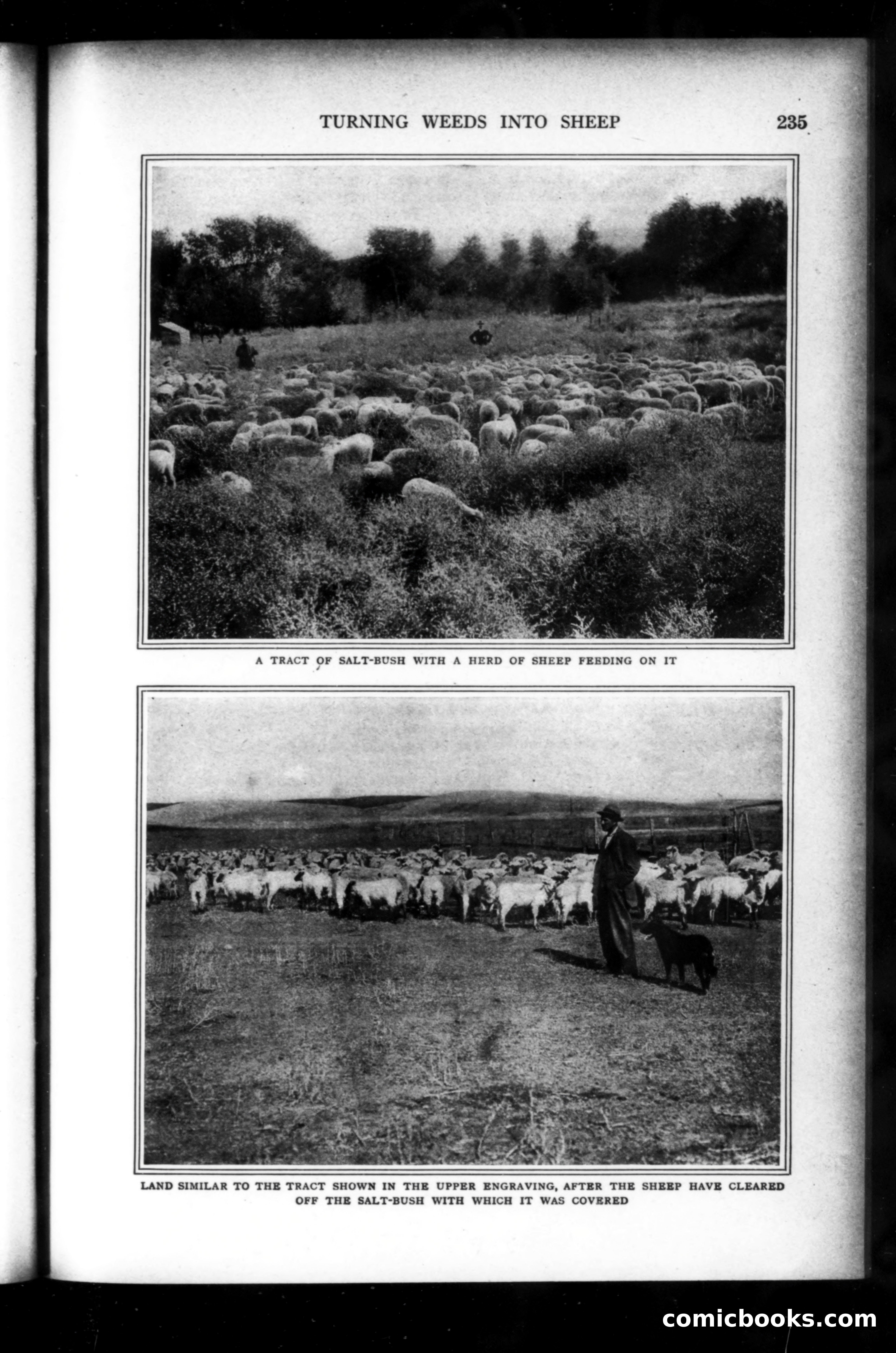 Munsey's Magazine, March 1919 — page 39 of 196