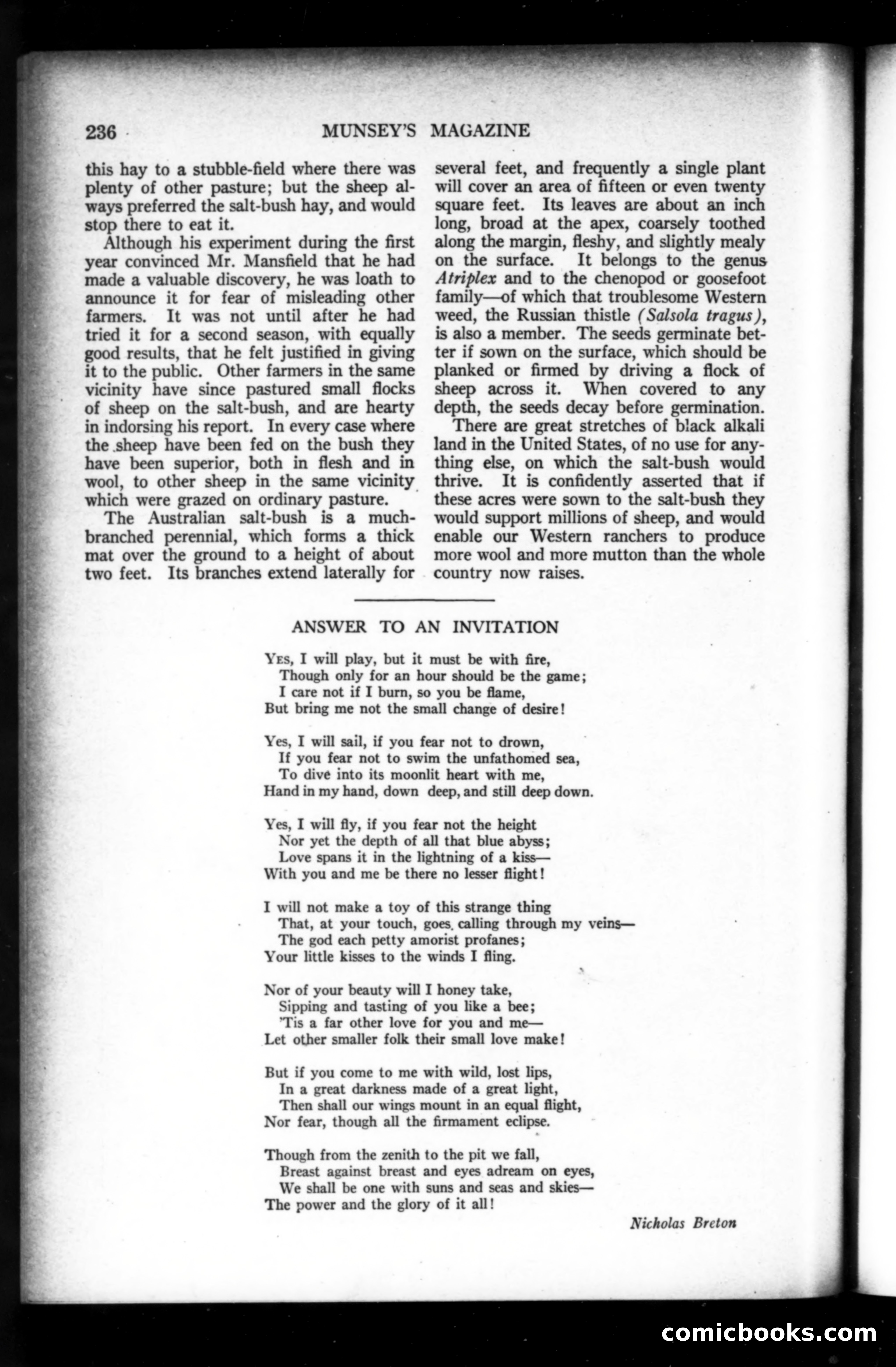 Munsey's Magazine, March 1919 — page 40 of 196