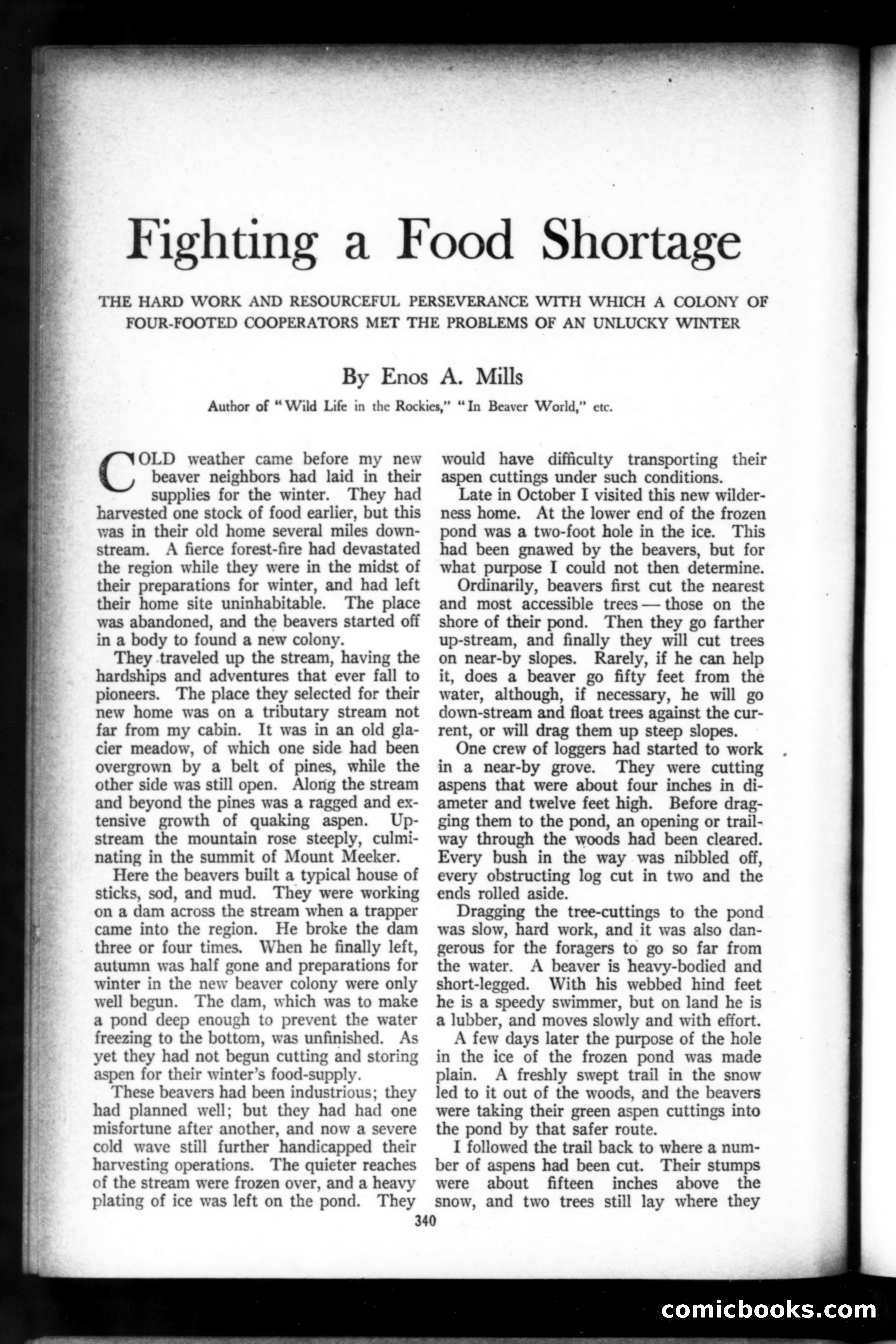 Munsey's Magazine, March 1919 — page 144 of 196