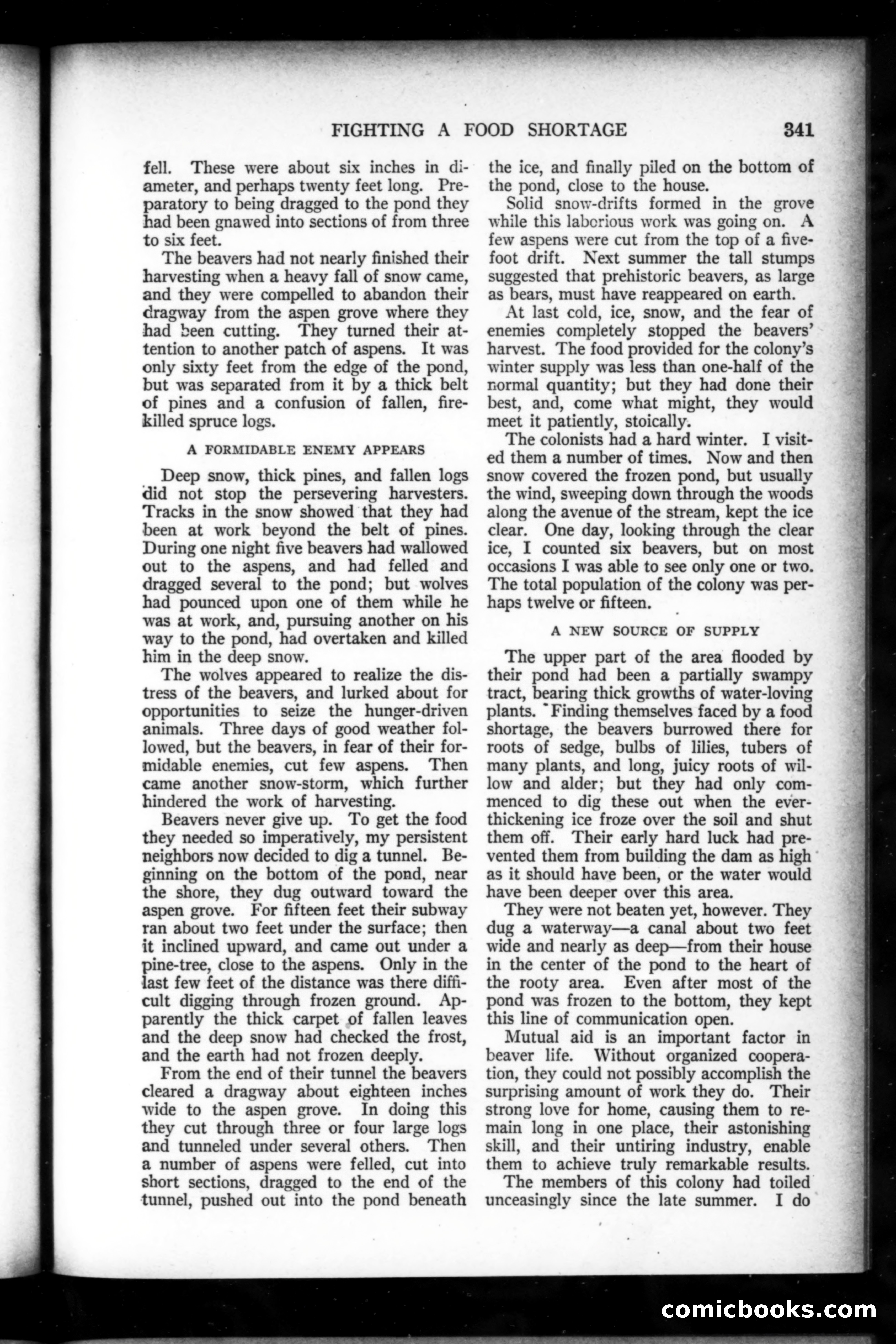 Munsey's Magazine, March 1919 — page 145 of 196