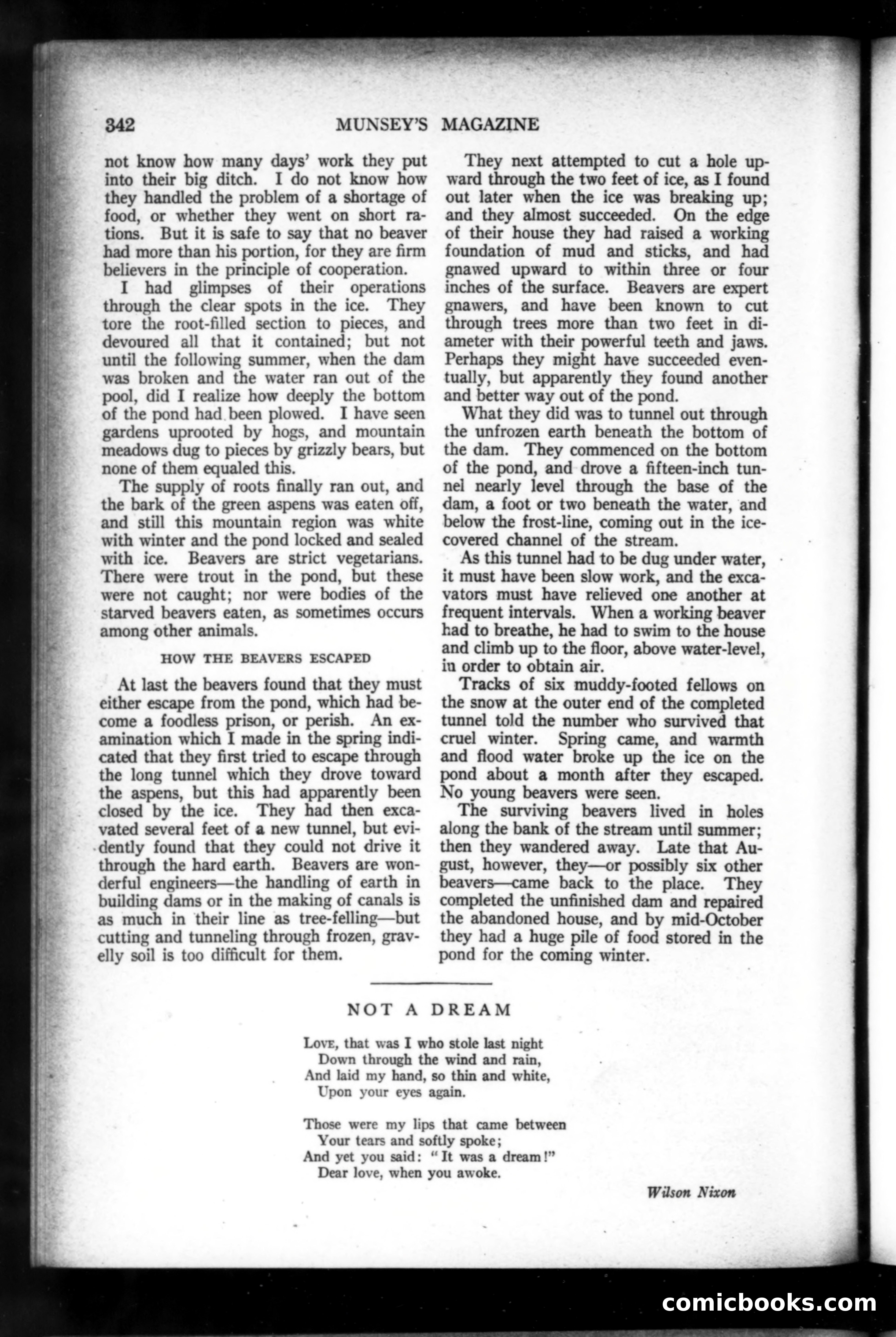 Munsey's Magazine, March 1919 — page 146 of 196