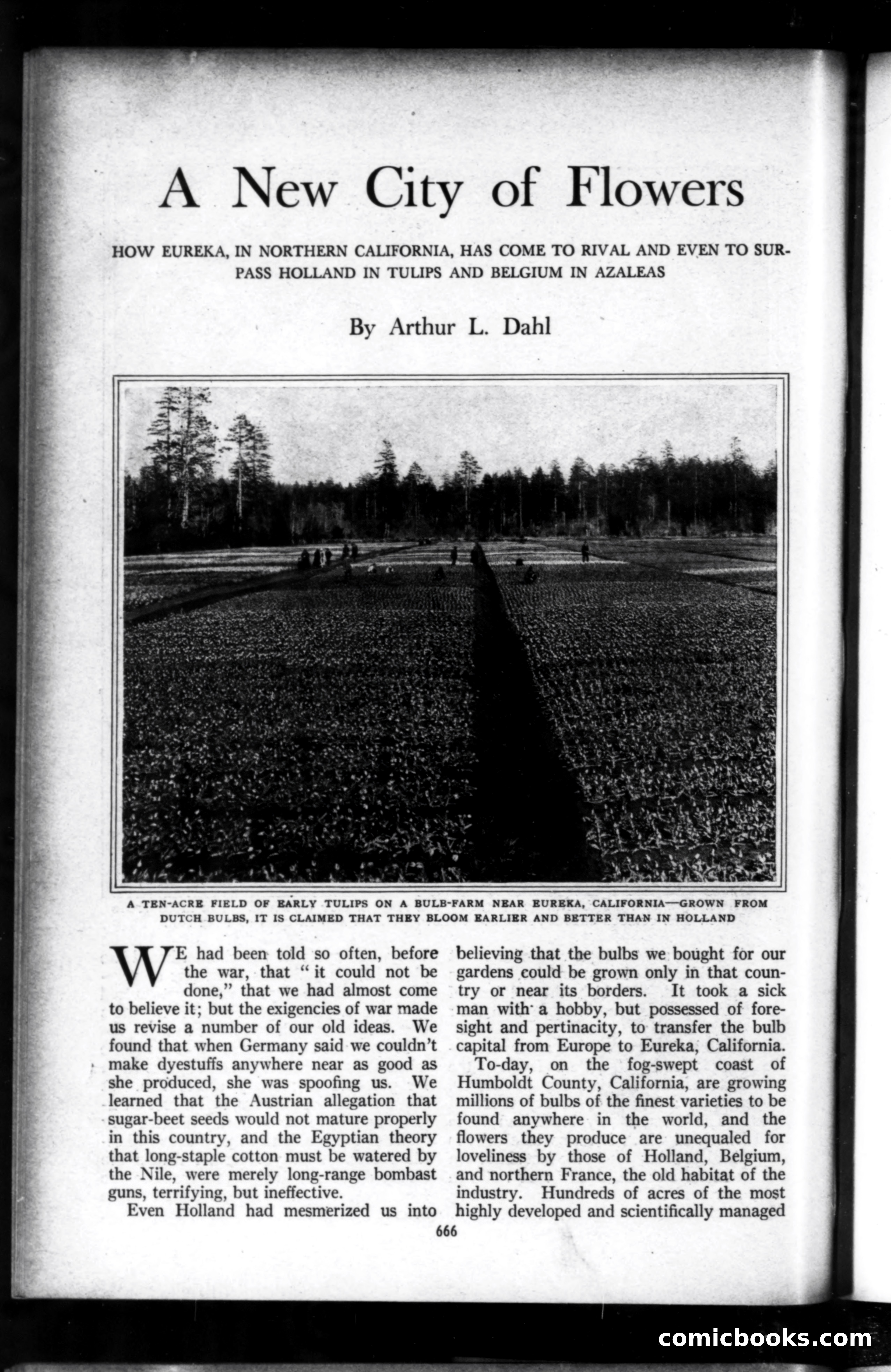Munsey's Magazine, May 1919 — page 78 of 193