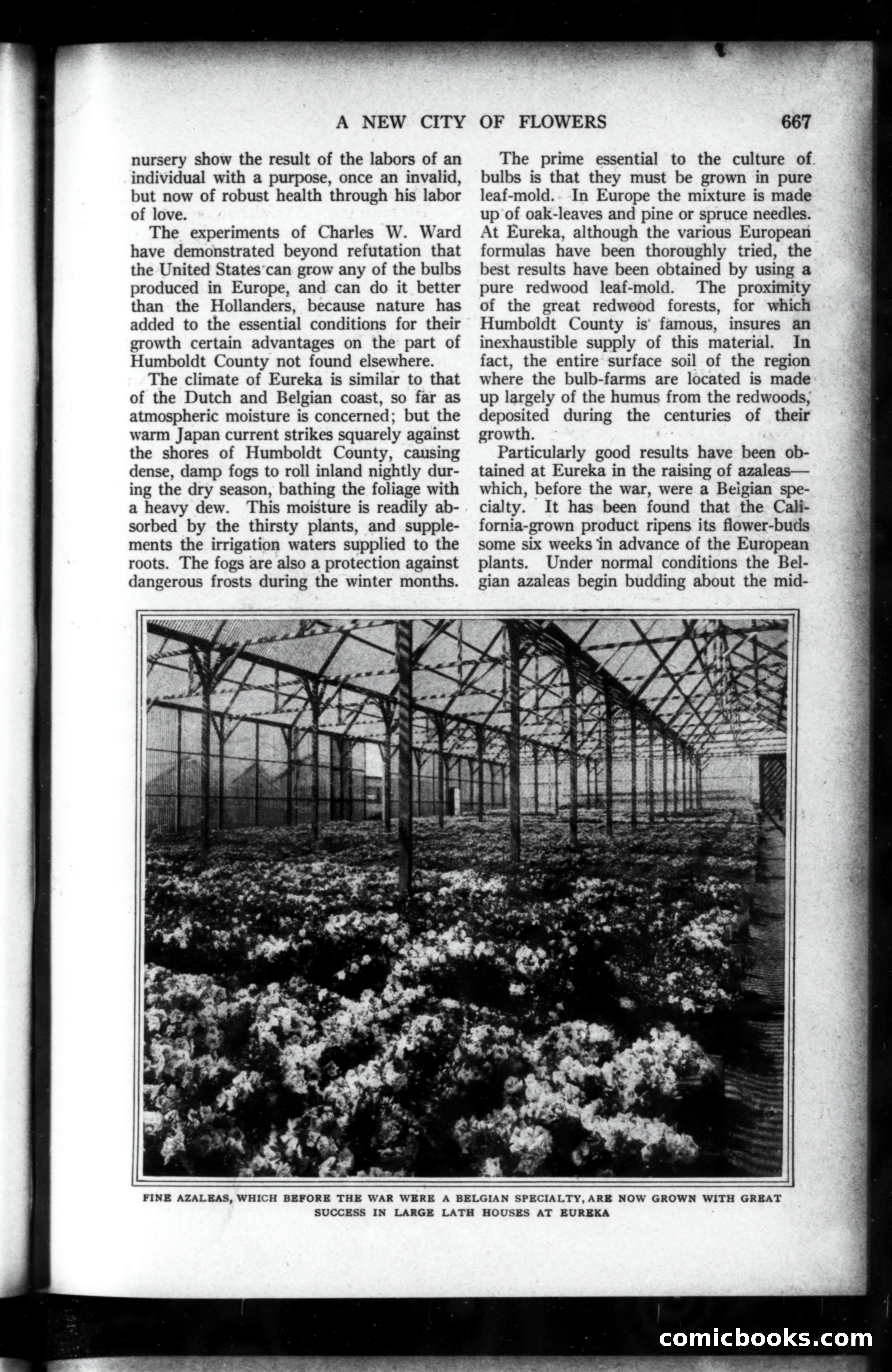Munsey's Magazine, May 1919 — page 79 of 193