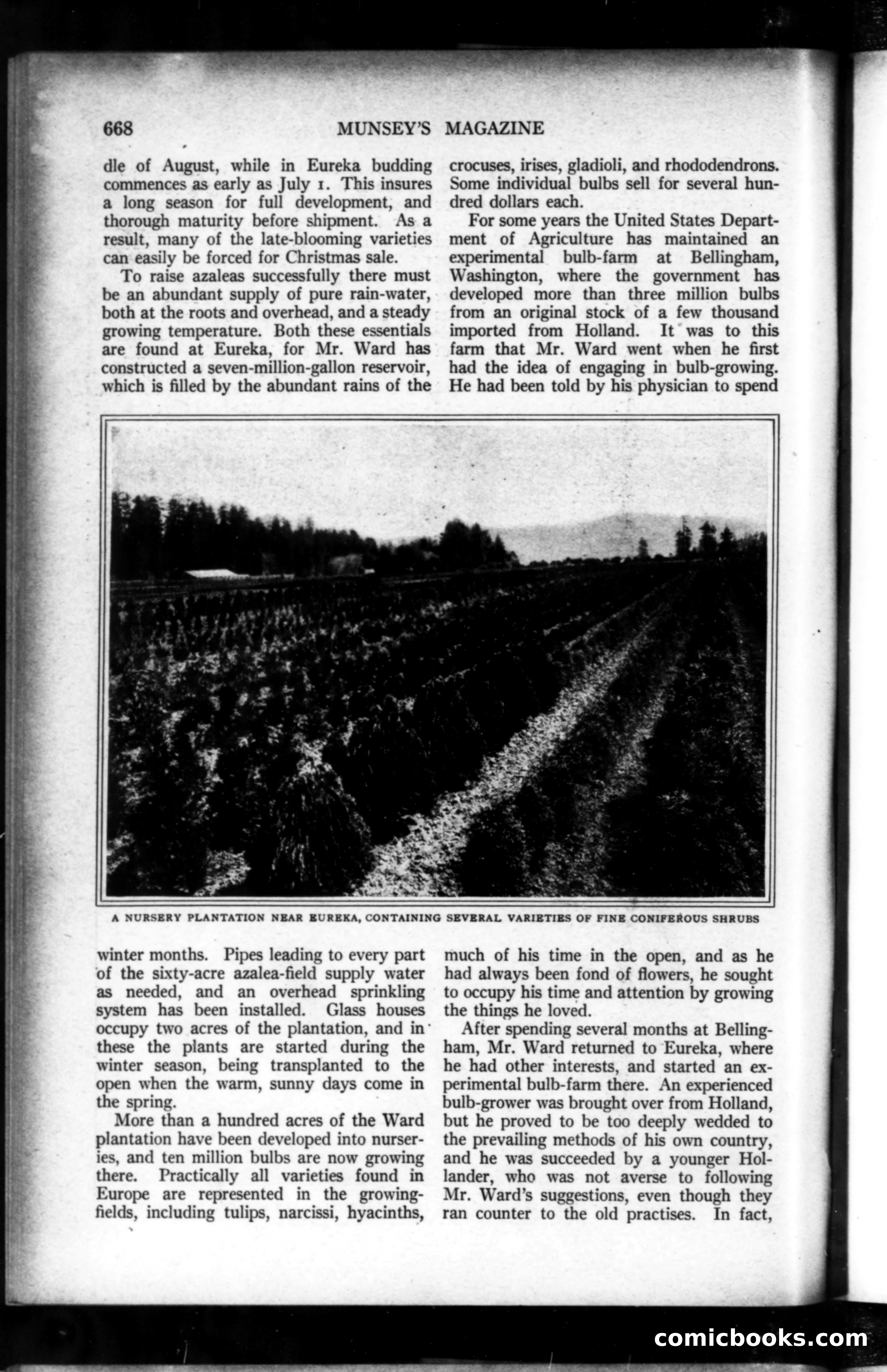Munsey's Magazine, May 1919 — page 80 of 193