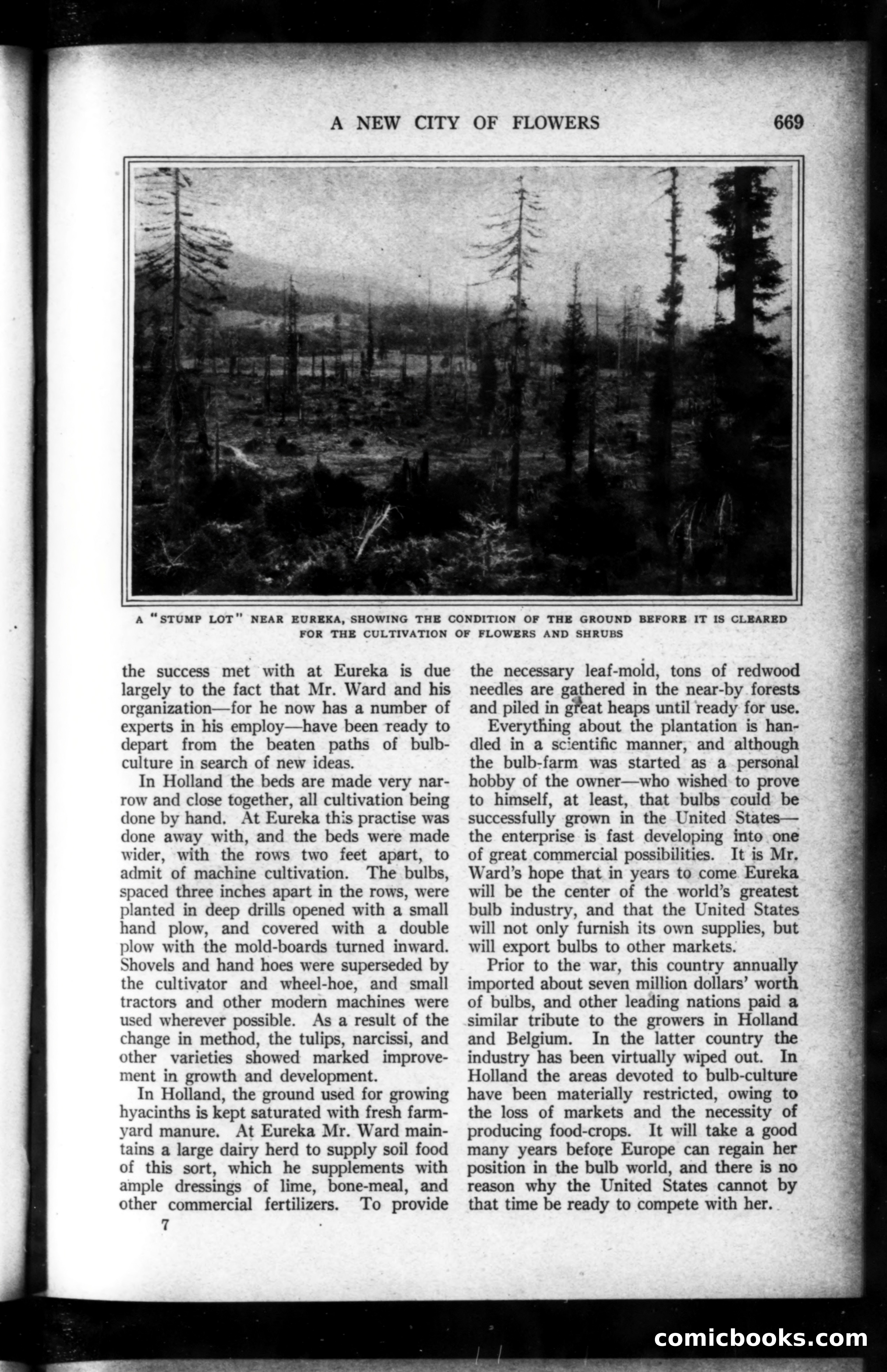 Munsey's Magazine, May 1919 — page 81 of 193
