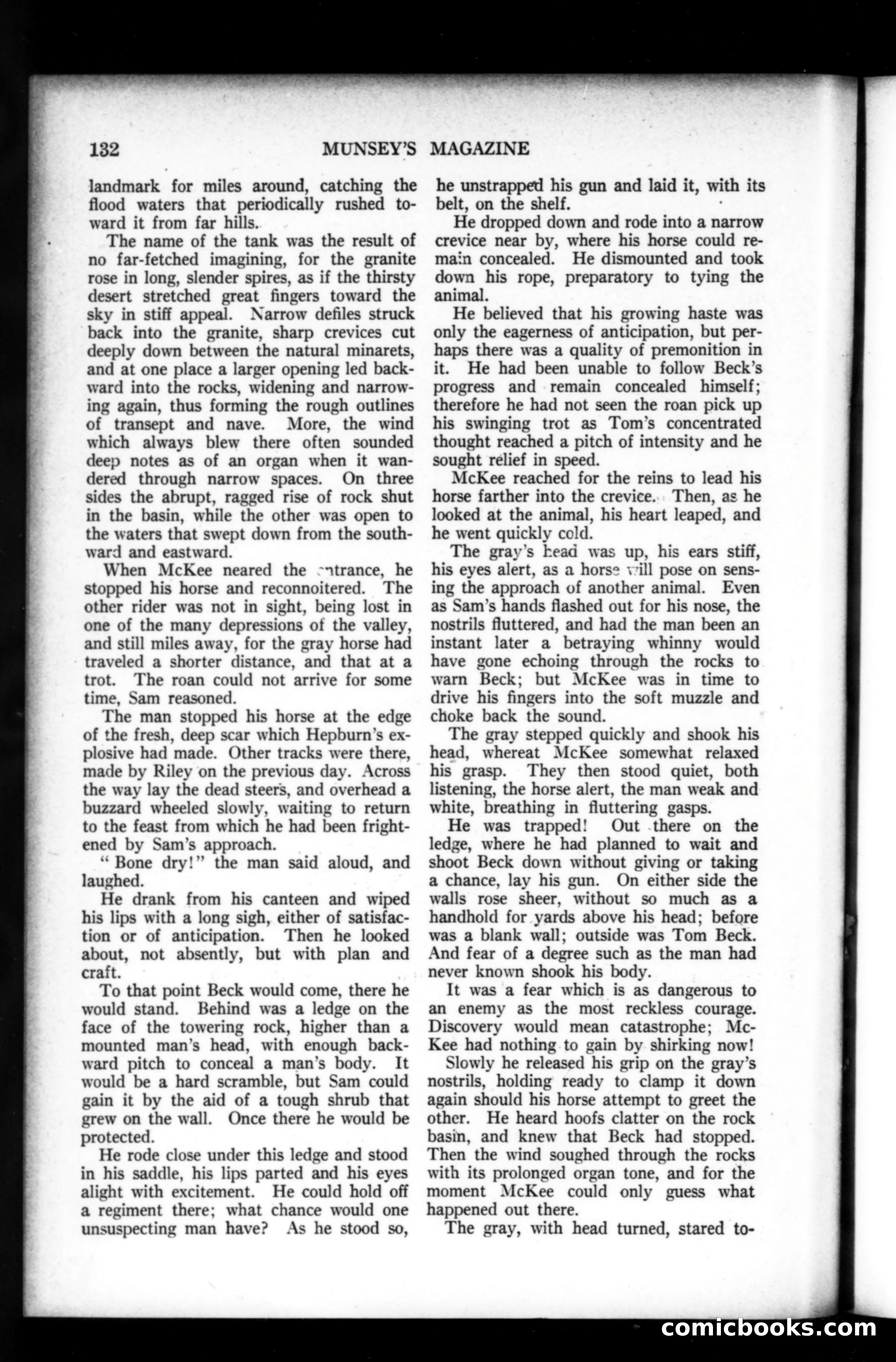 Munsey's Magazine, February 1920 — page 132 of 192