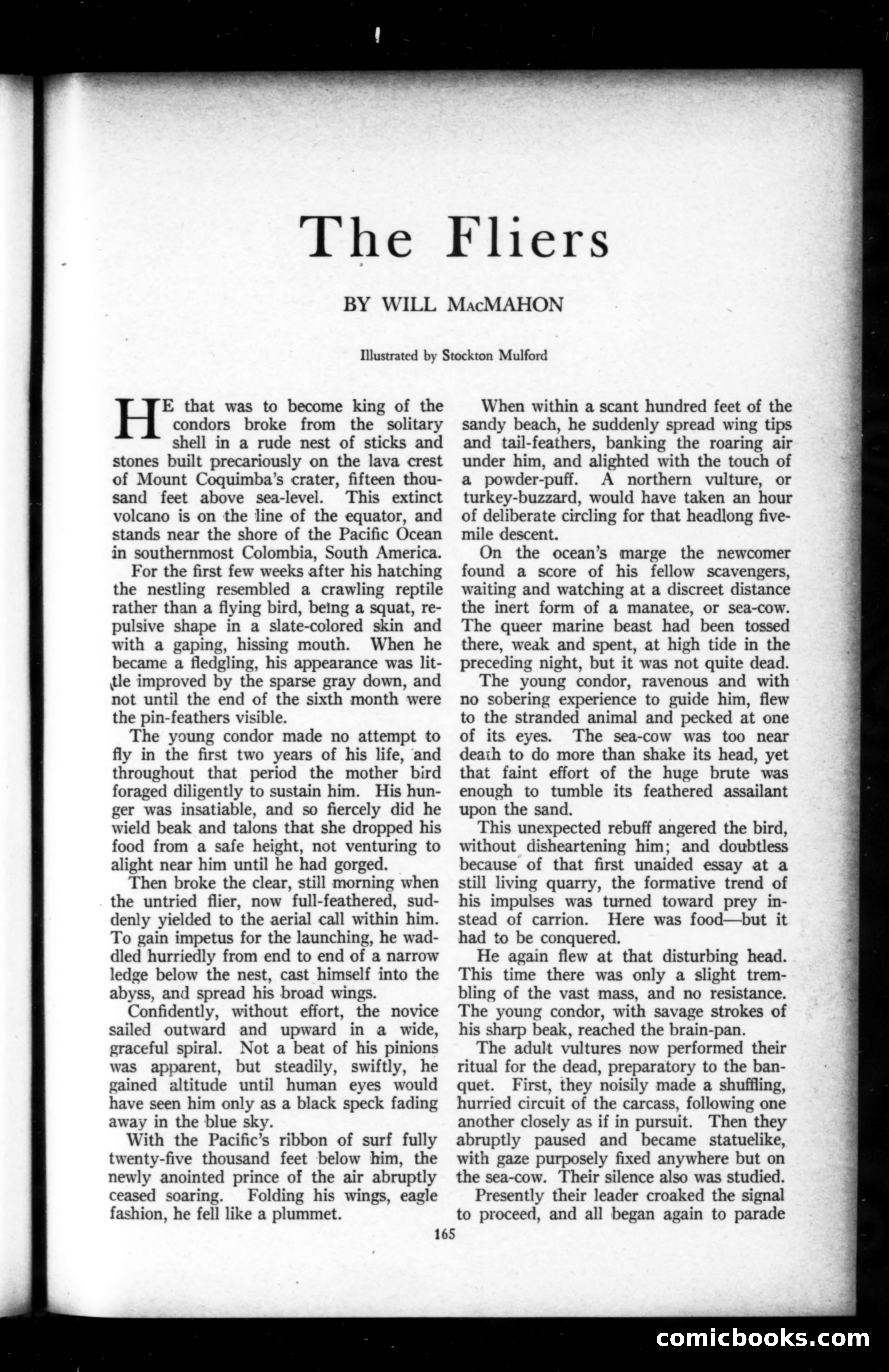 Munsey's Magazine, February 1920 — page 165 of 192