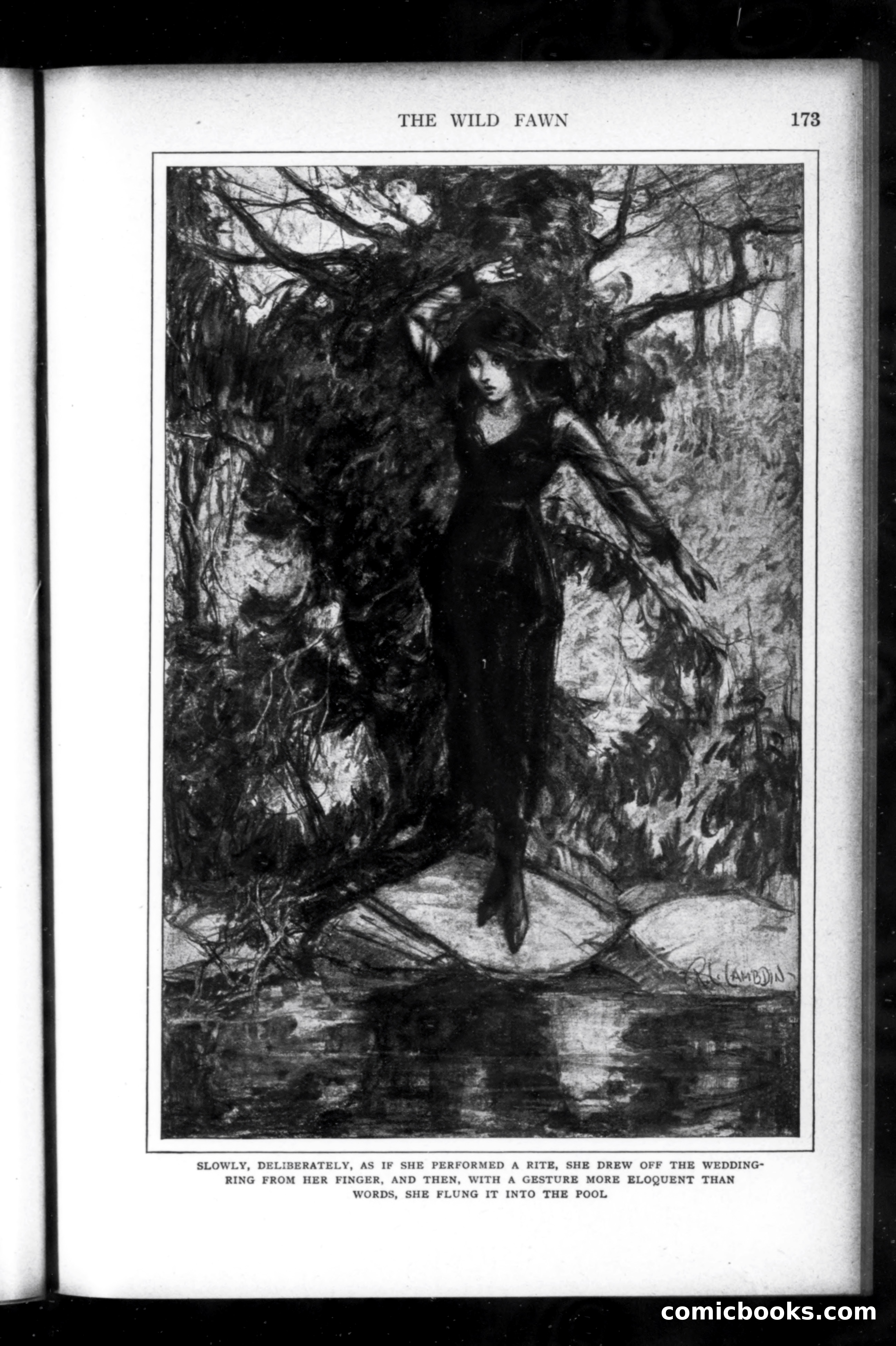 Munsey's Magazine, February 1920 — page 173 of 192