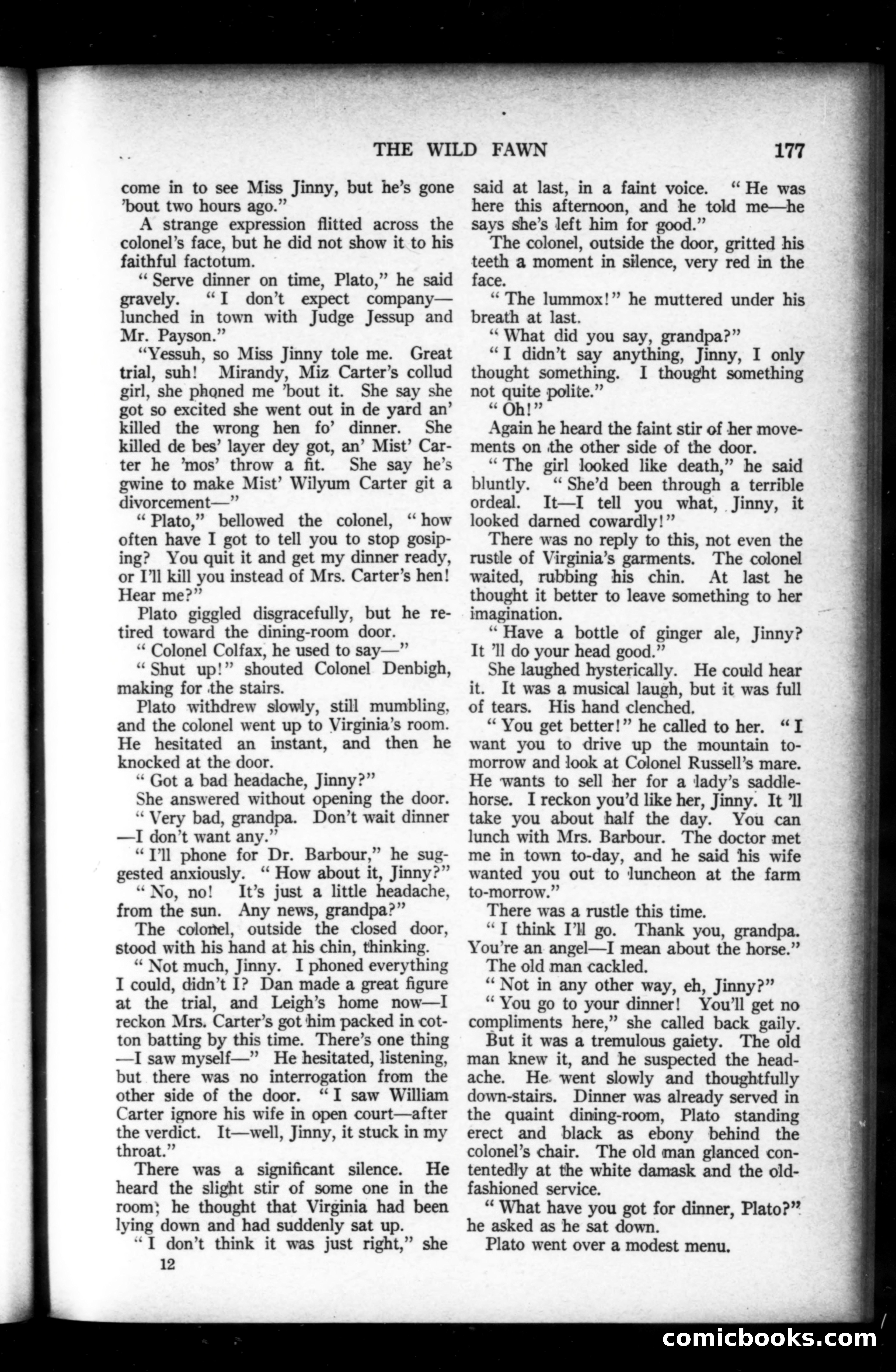 Munsey's Magazine, February 1920 — page 177 of 192