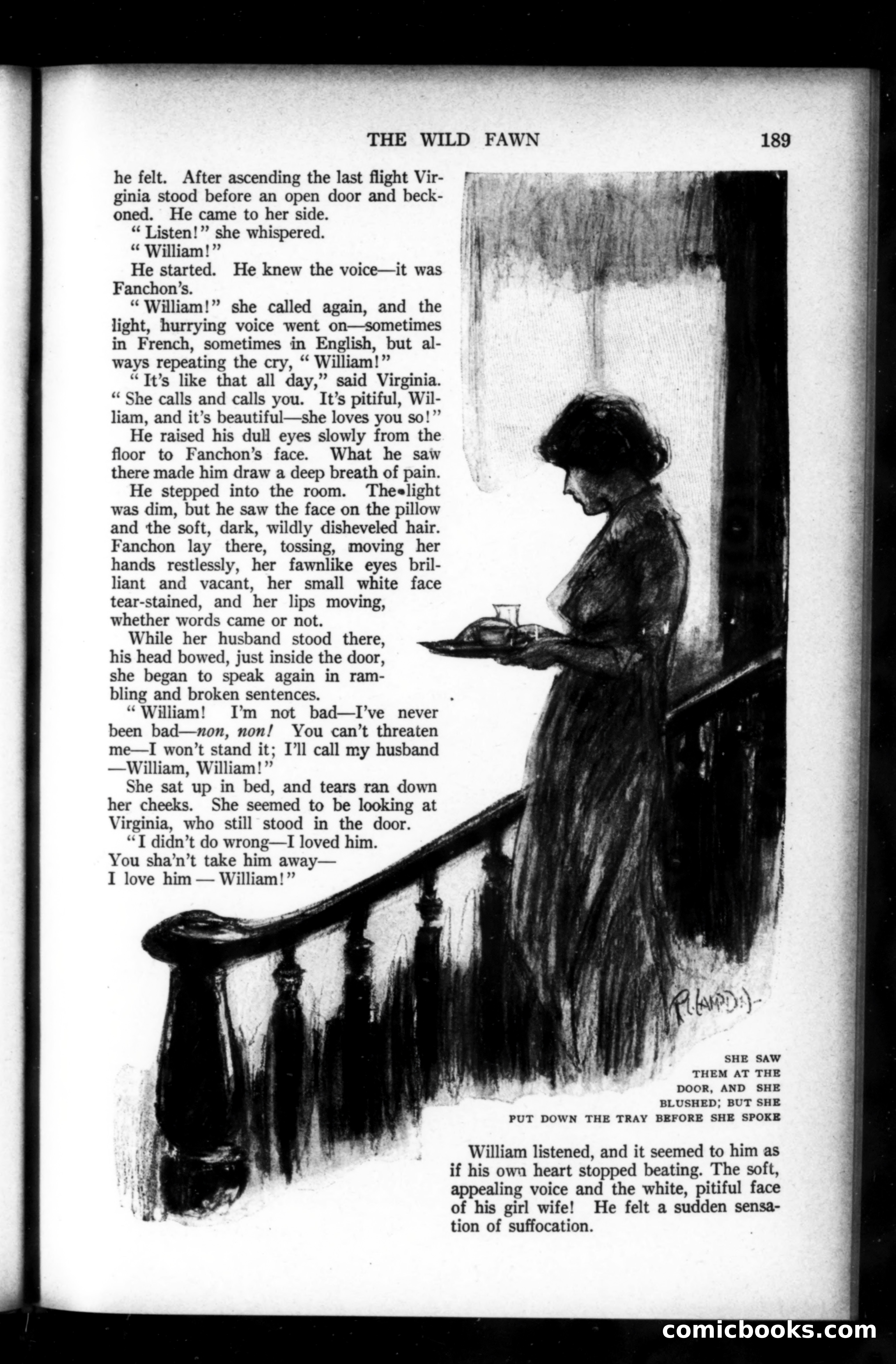 Munsey's Magazine, February 1920 — page 189 of 192