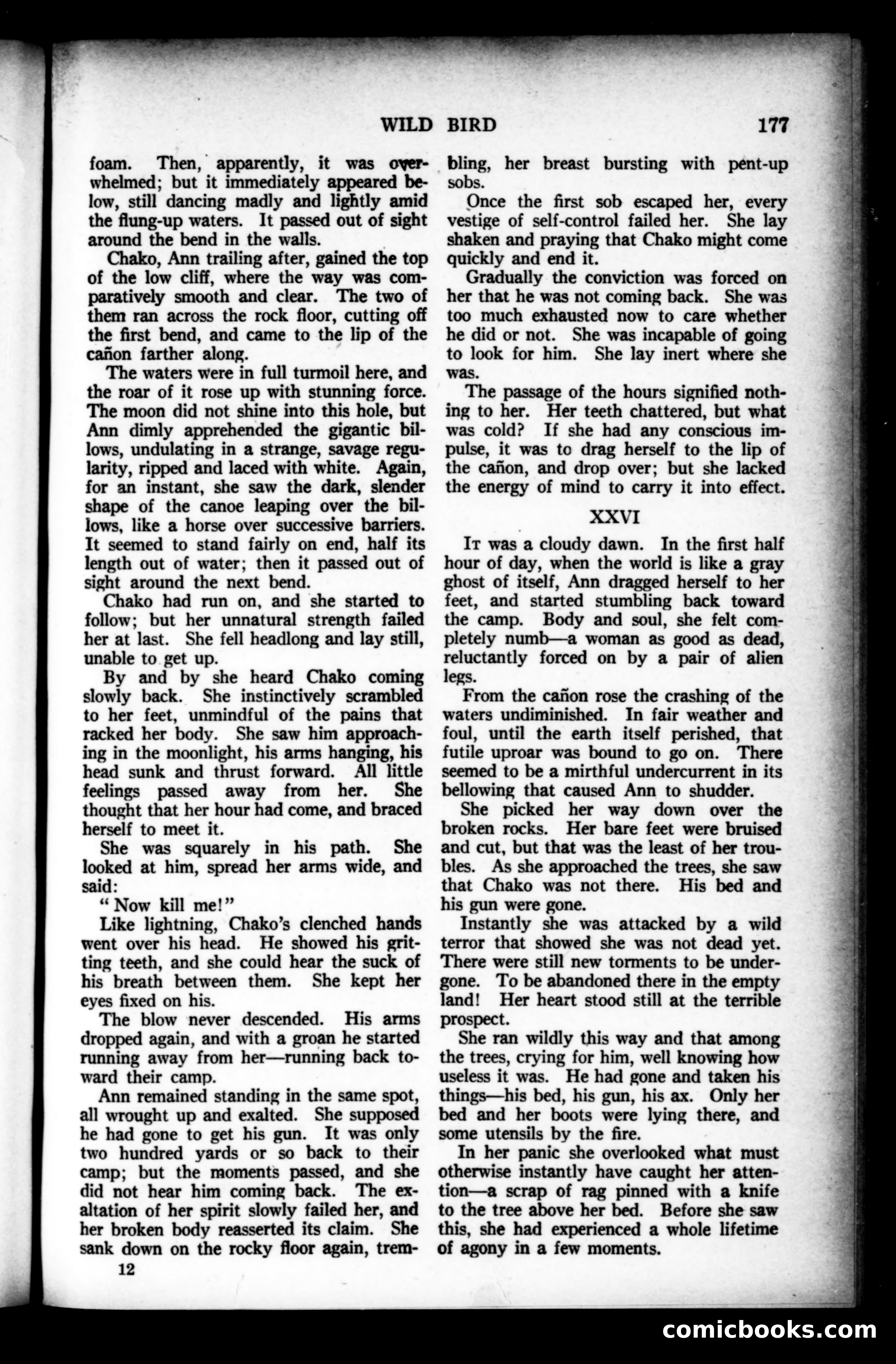 Munsey's Magazine, June 1923 — page 177 of 192