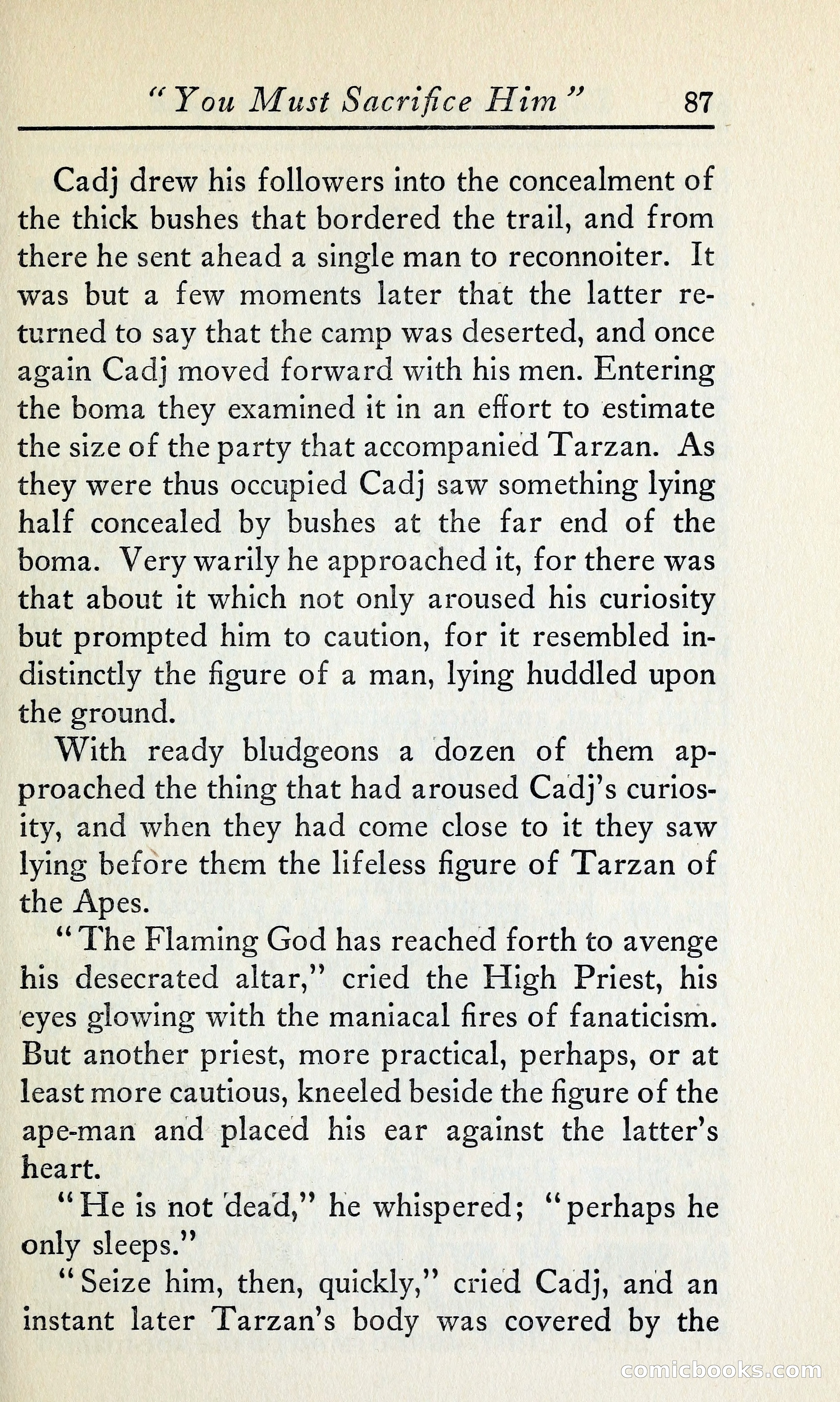Tarzan and the Golden Lion — page 106 of 370