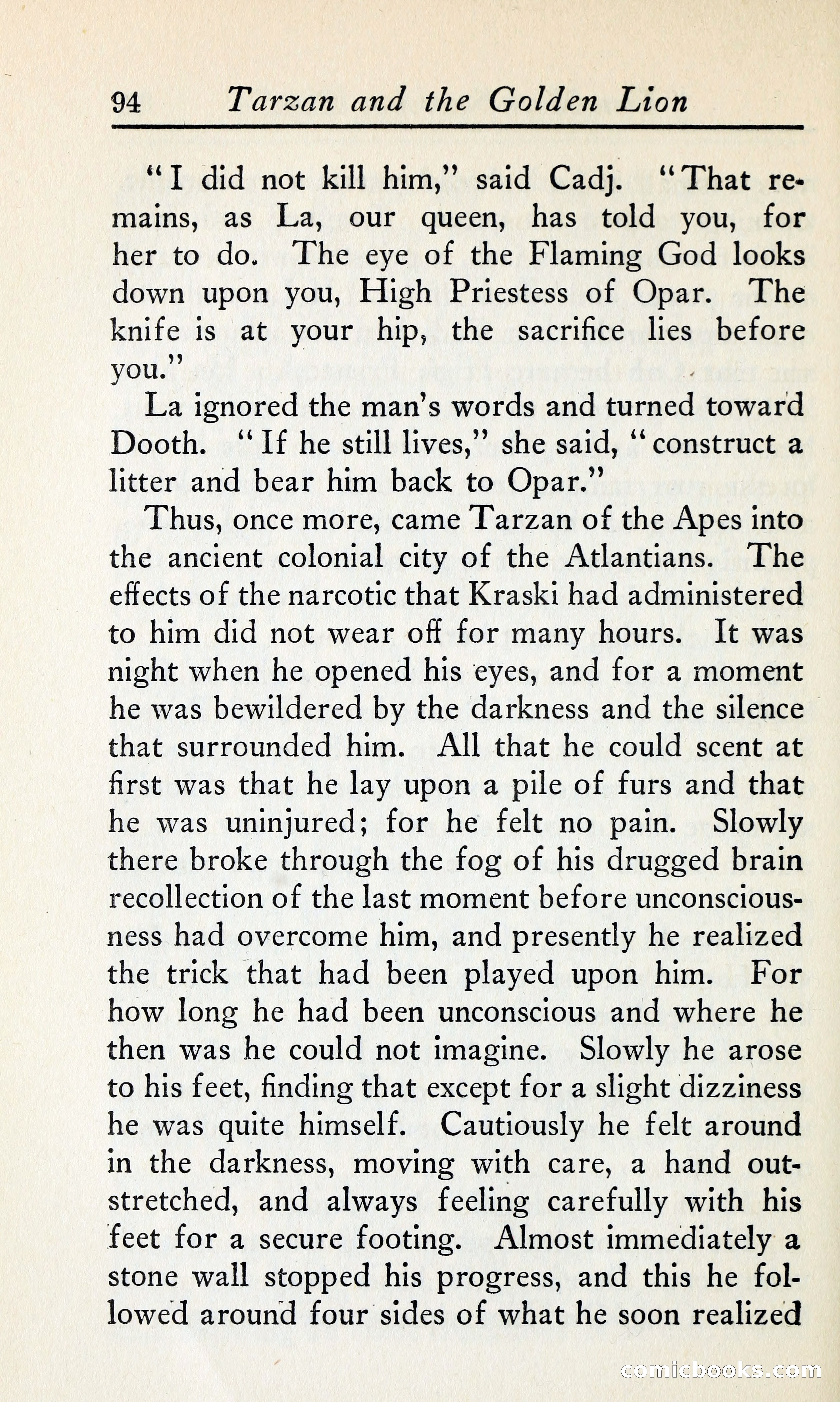 Tarzan and the Golden Lion — page 113 of 370