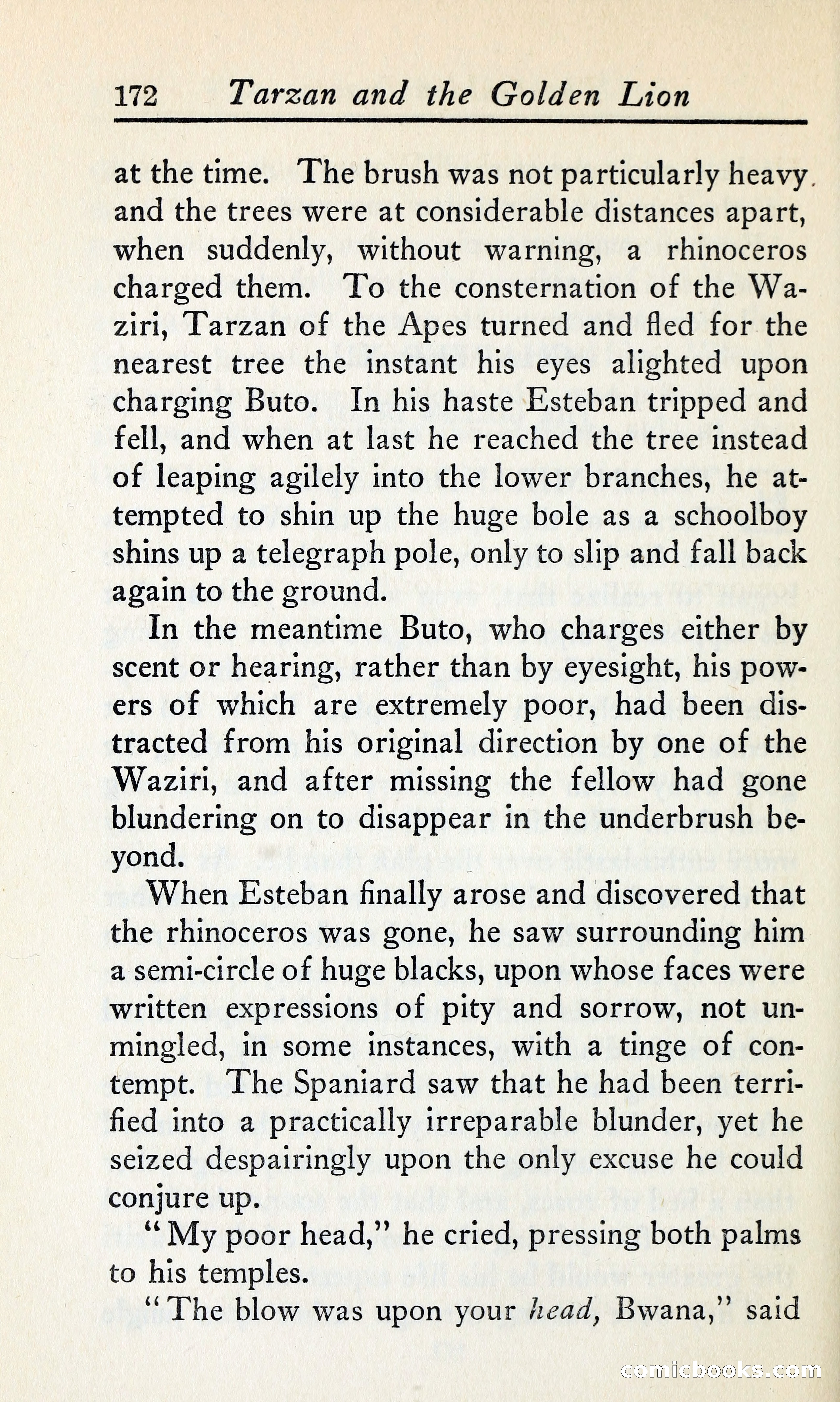 Tarzan and the Golden Lion — page 193 of 370