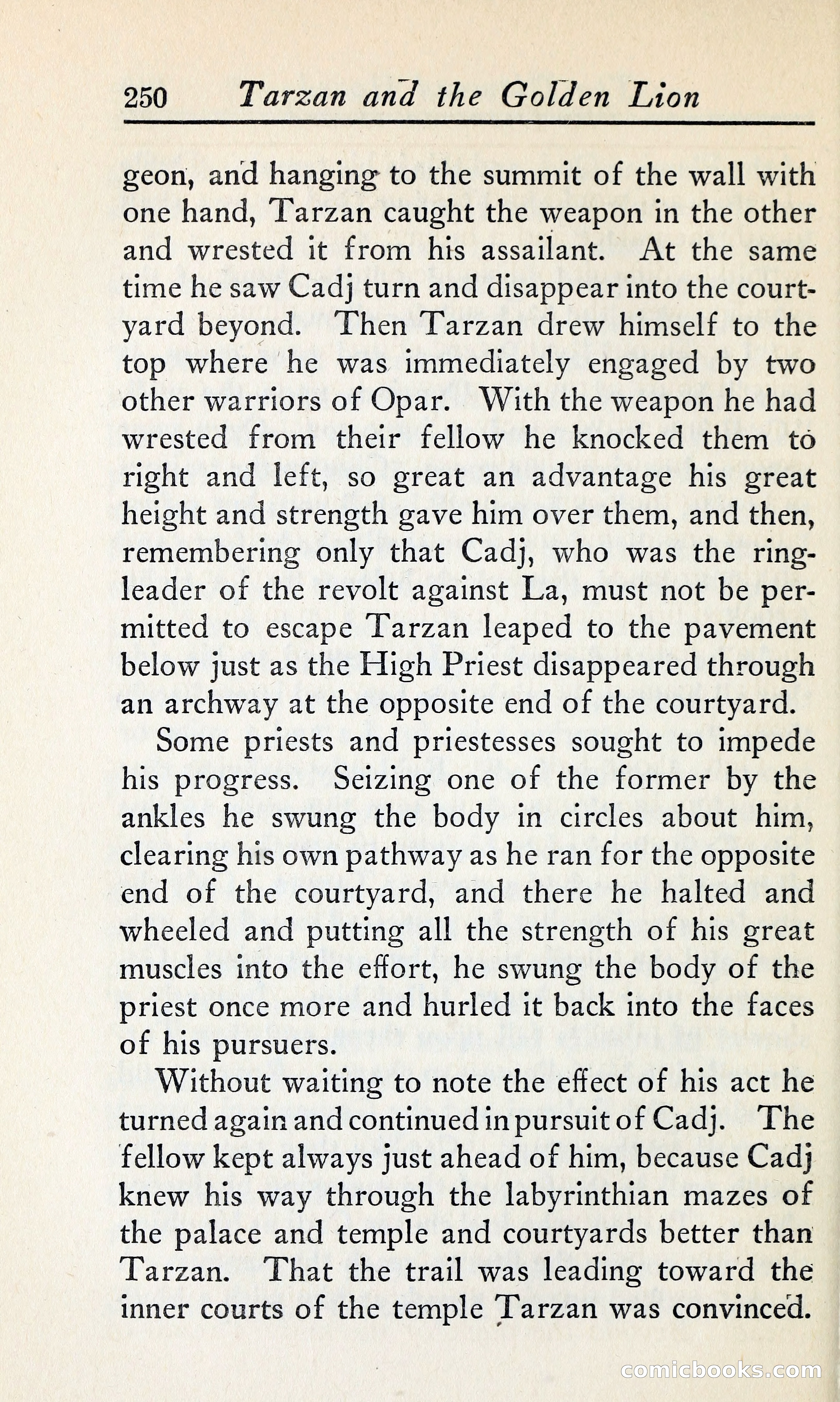 Tarzan and the Golden Lion — page 273 of 370