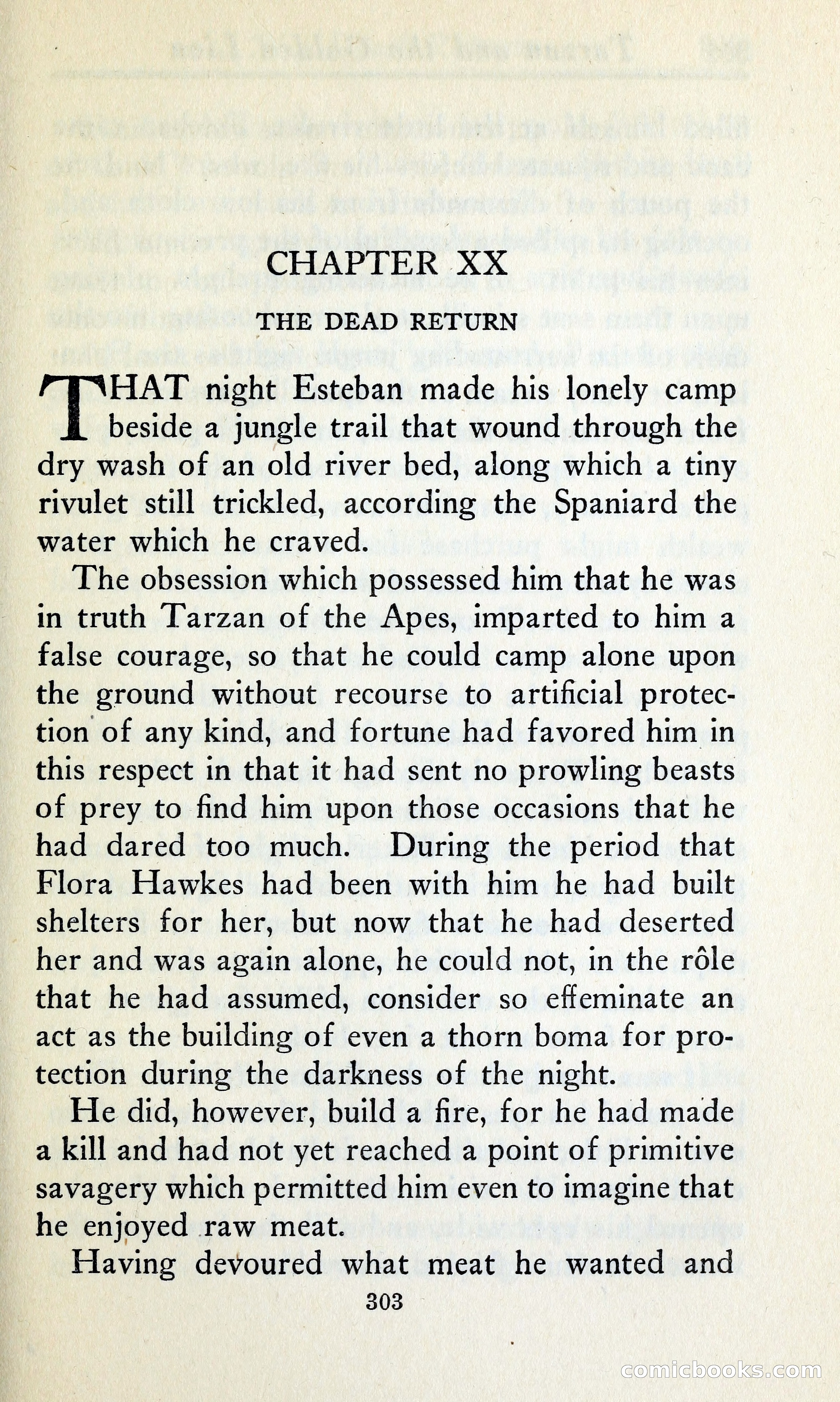 Tarzan and the Golden Lion — page 330 of 370