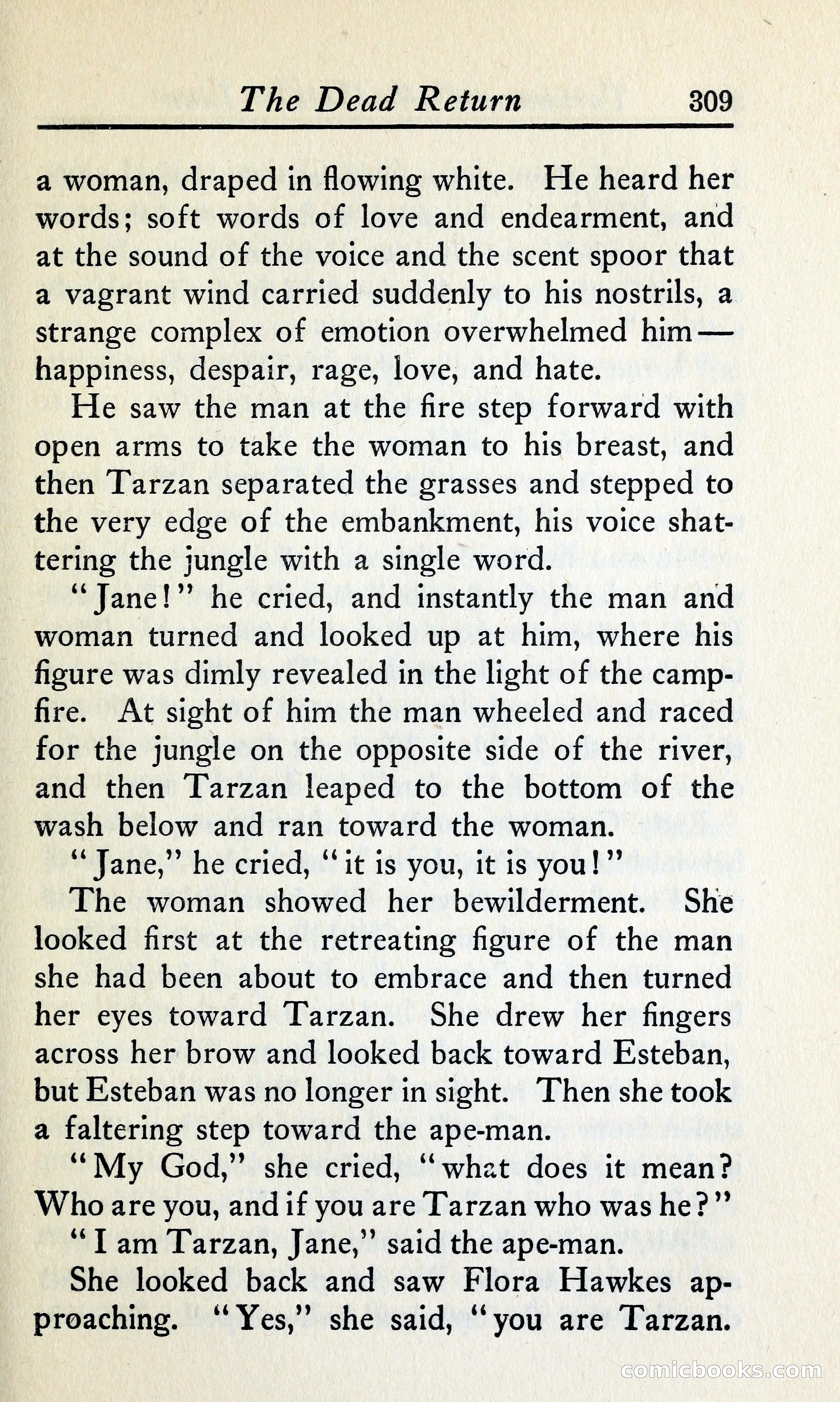 Tarzan and the Golden Lion — page 336 of 370