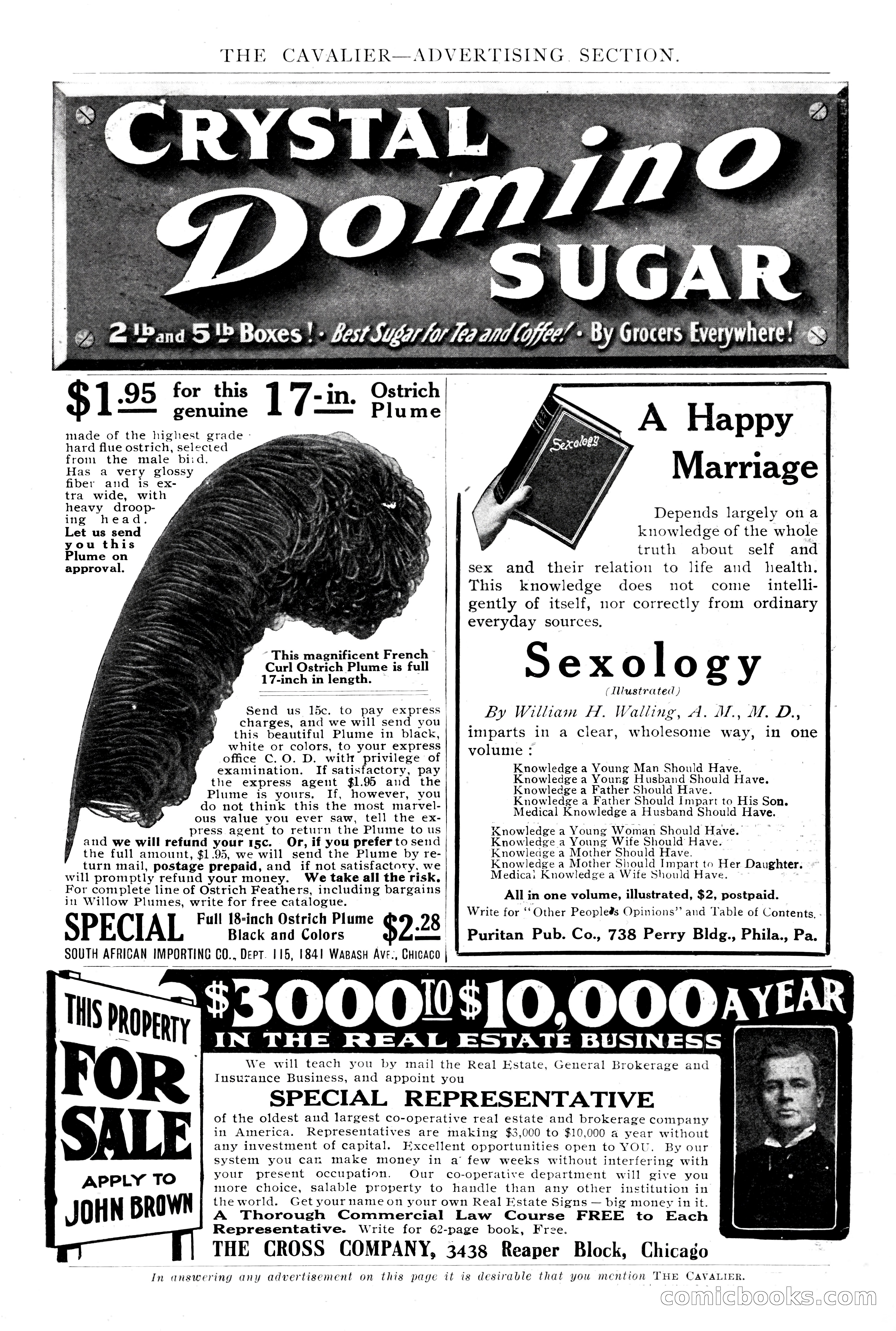 The Cavalier, January 1910 — page 196 of 204