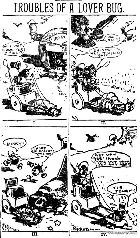 Troubles of a Lover Bug
