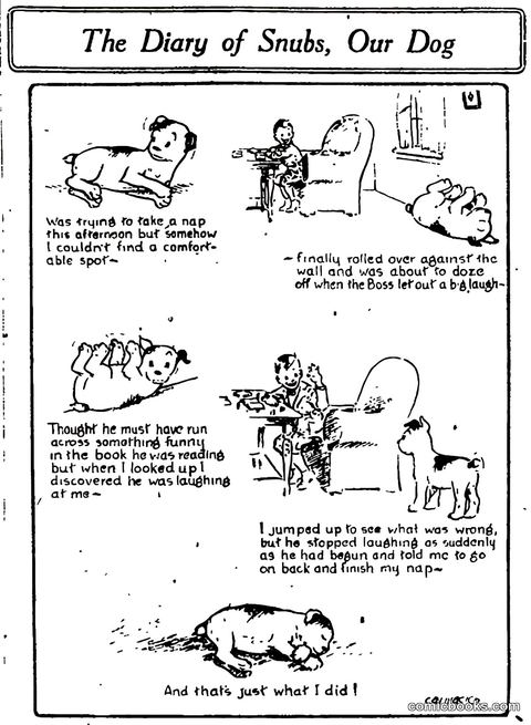 The Diary of Snubs, Our Dog
