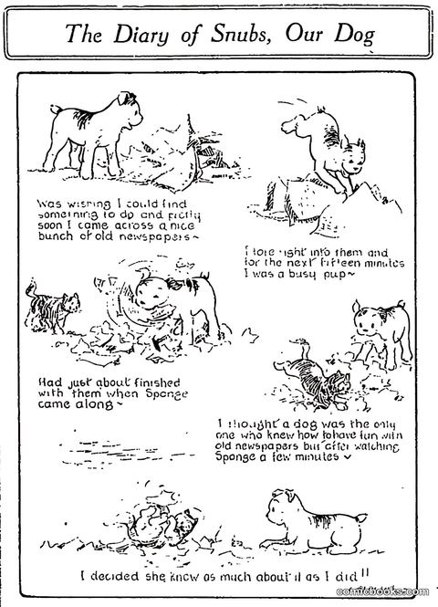 The Diary of Snubs, Our Dog