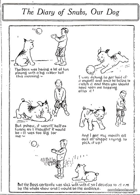 The Diary of Snubs, Our Dog