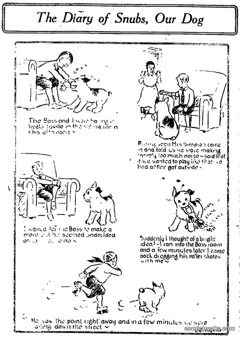 The Diary of Snubs, Our Dog