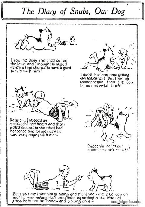 The Diary of Snubs, Our Dog