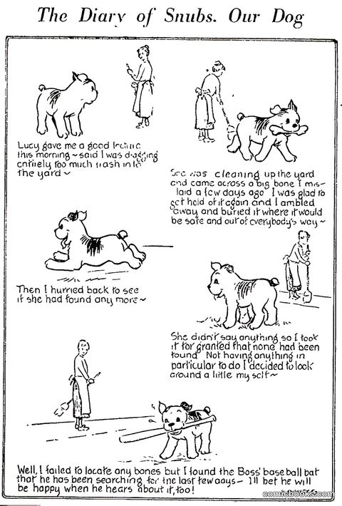 The Diary of Snubs, Our Dog