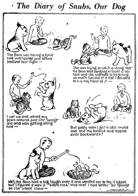 The Diary of Snubs, Our Dog