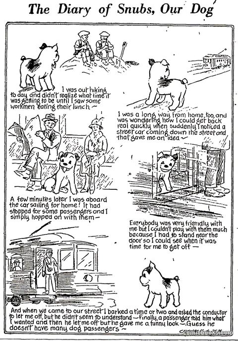 The Diary of Snubs, Our Dog