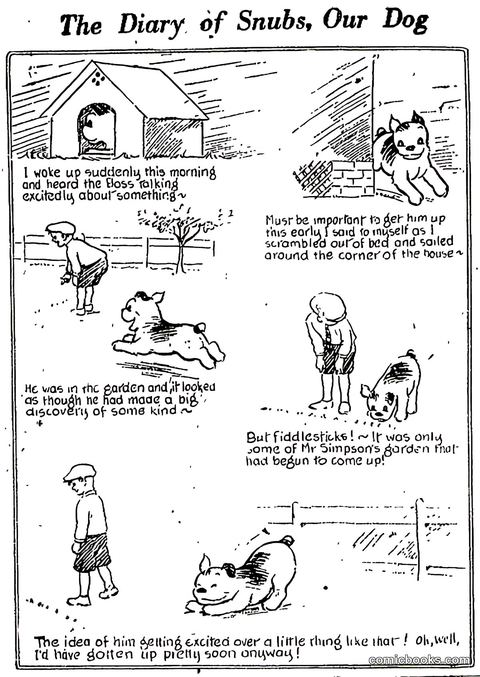 The Diary of Snubs, Our Dog