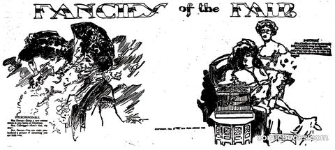 Fancies of the Fair