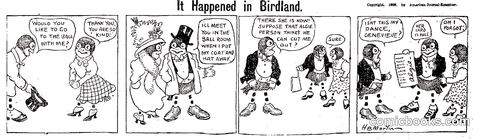 It Happened in Birdland