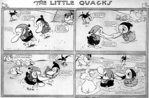 The Little Quacks