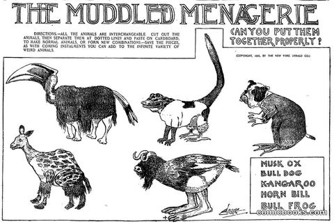 The Muddled Menagerie