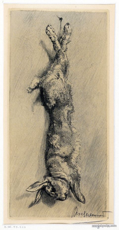 Le Lapin de Garenne