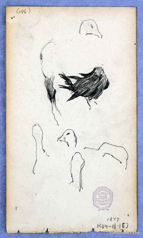 Duck Studies