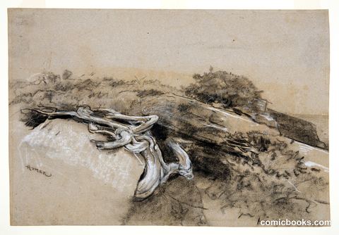 Tree Roots, Prout's Neck