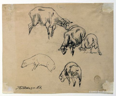 Studies of Sheep