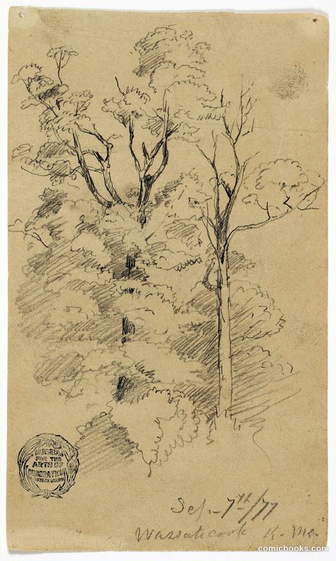 Two Trees on Wassataquoik Stream, Maine