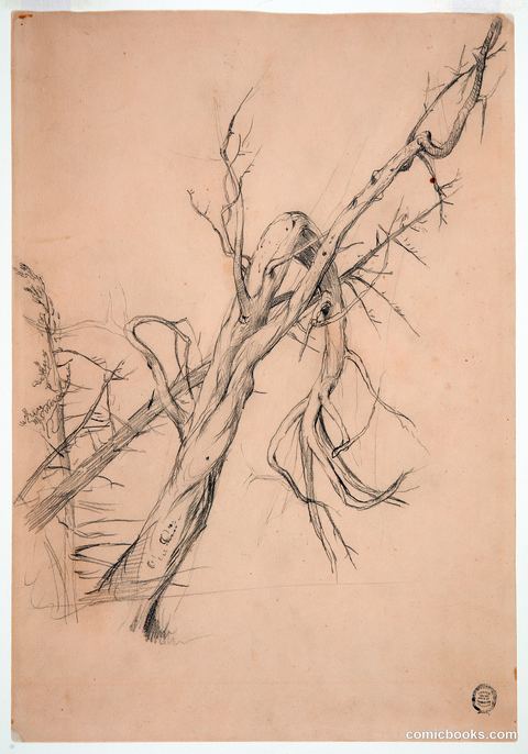 Gnarled Dead Tree