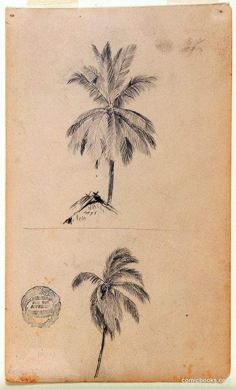 Coconut Palm, Two Views