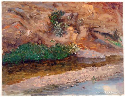 Bank of a Stream